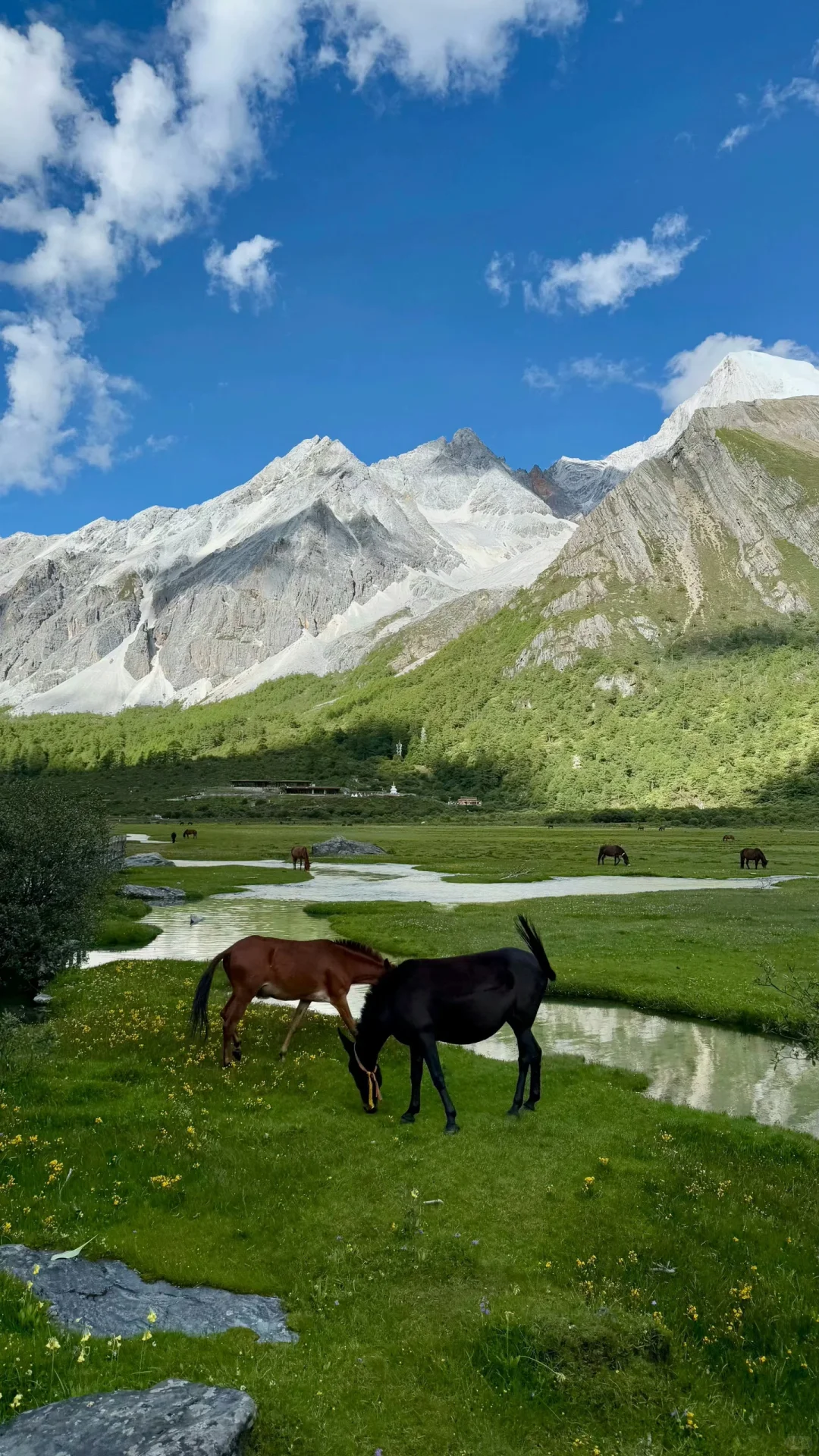 川西在我这里一直是top1的级别