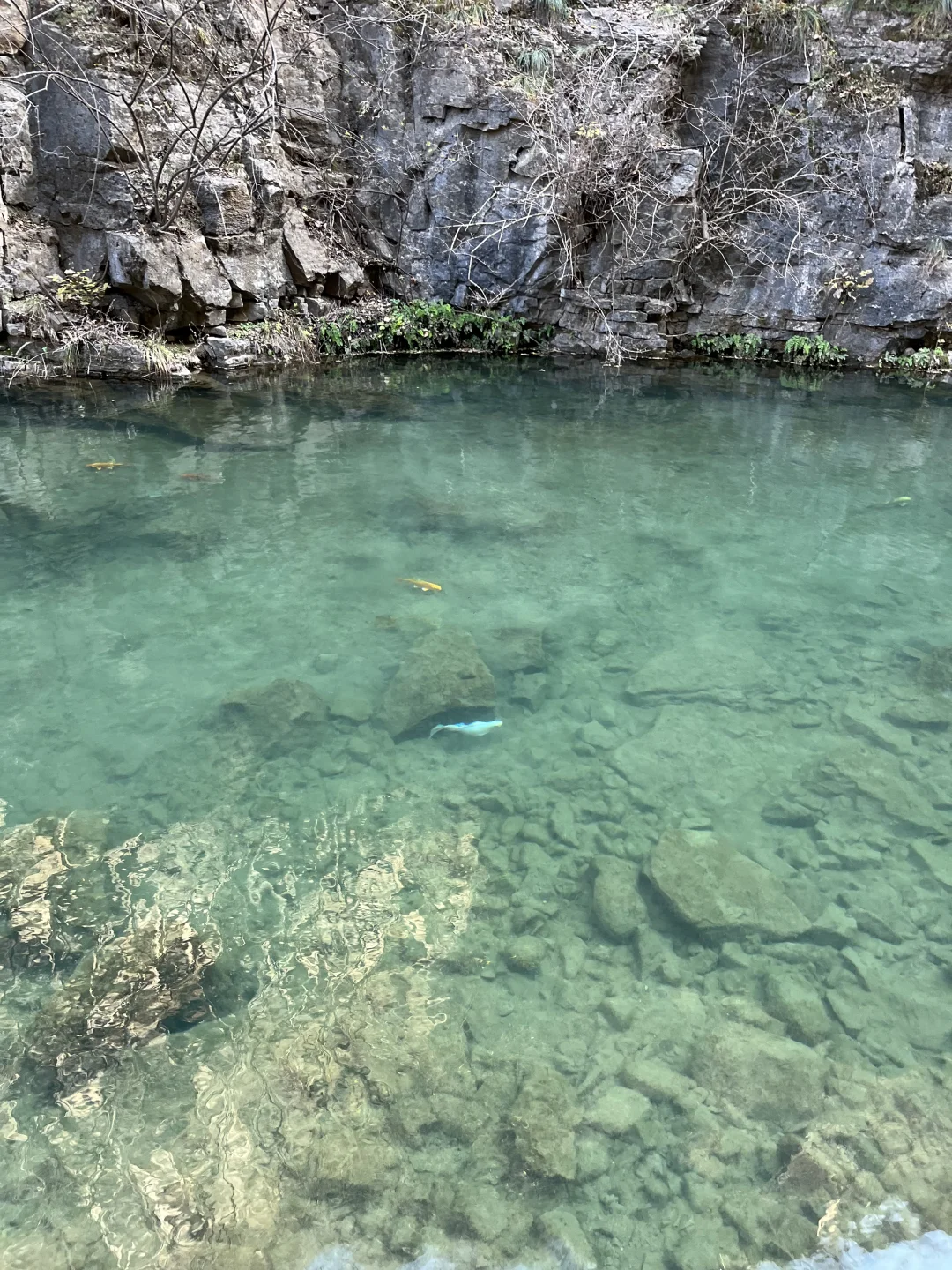 石家庄适合遛娃的景区,淡季人少,景色还美