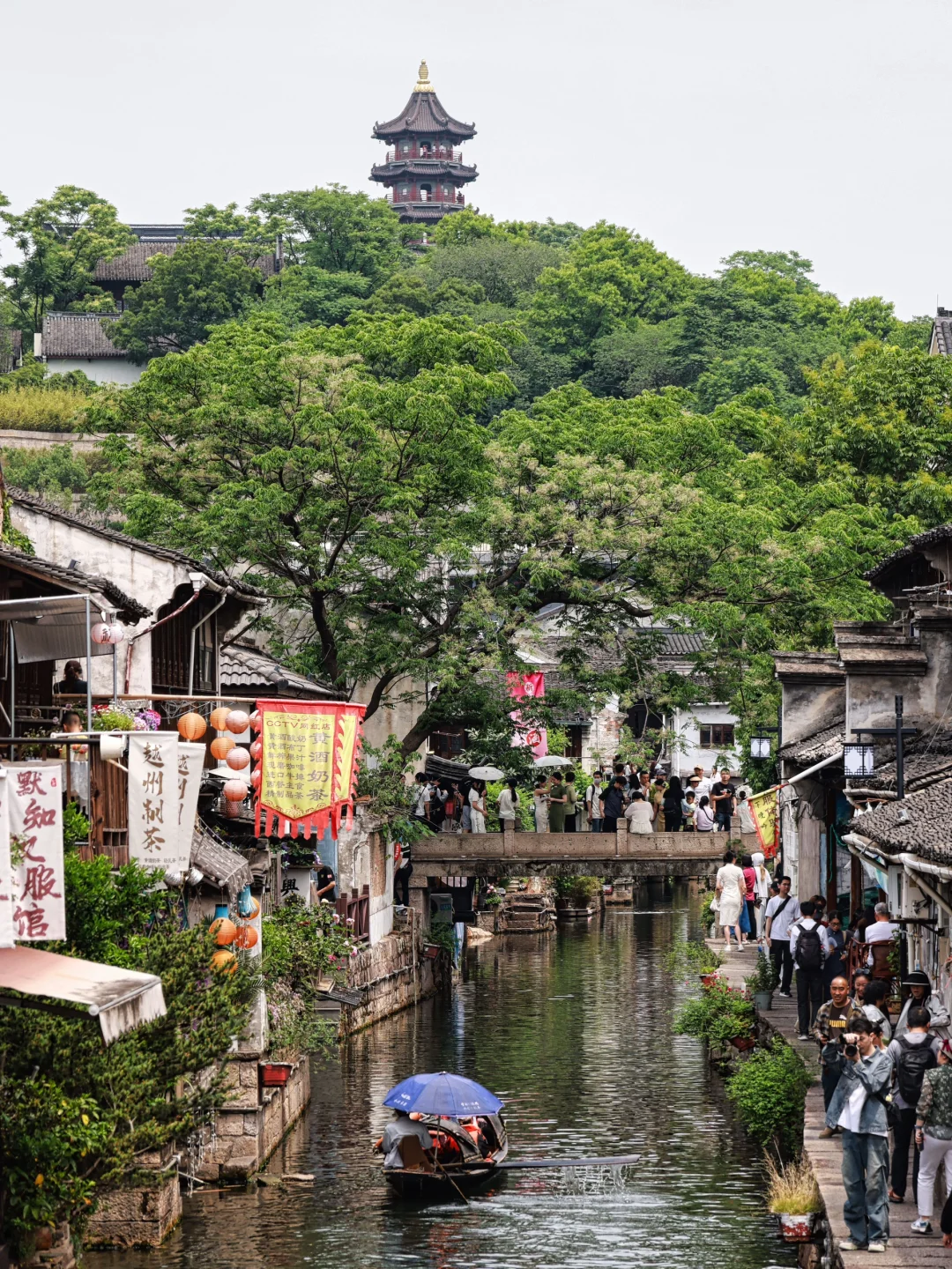 📍绍兴“读先生的书，看先生的故里”