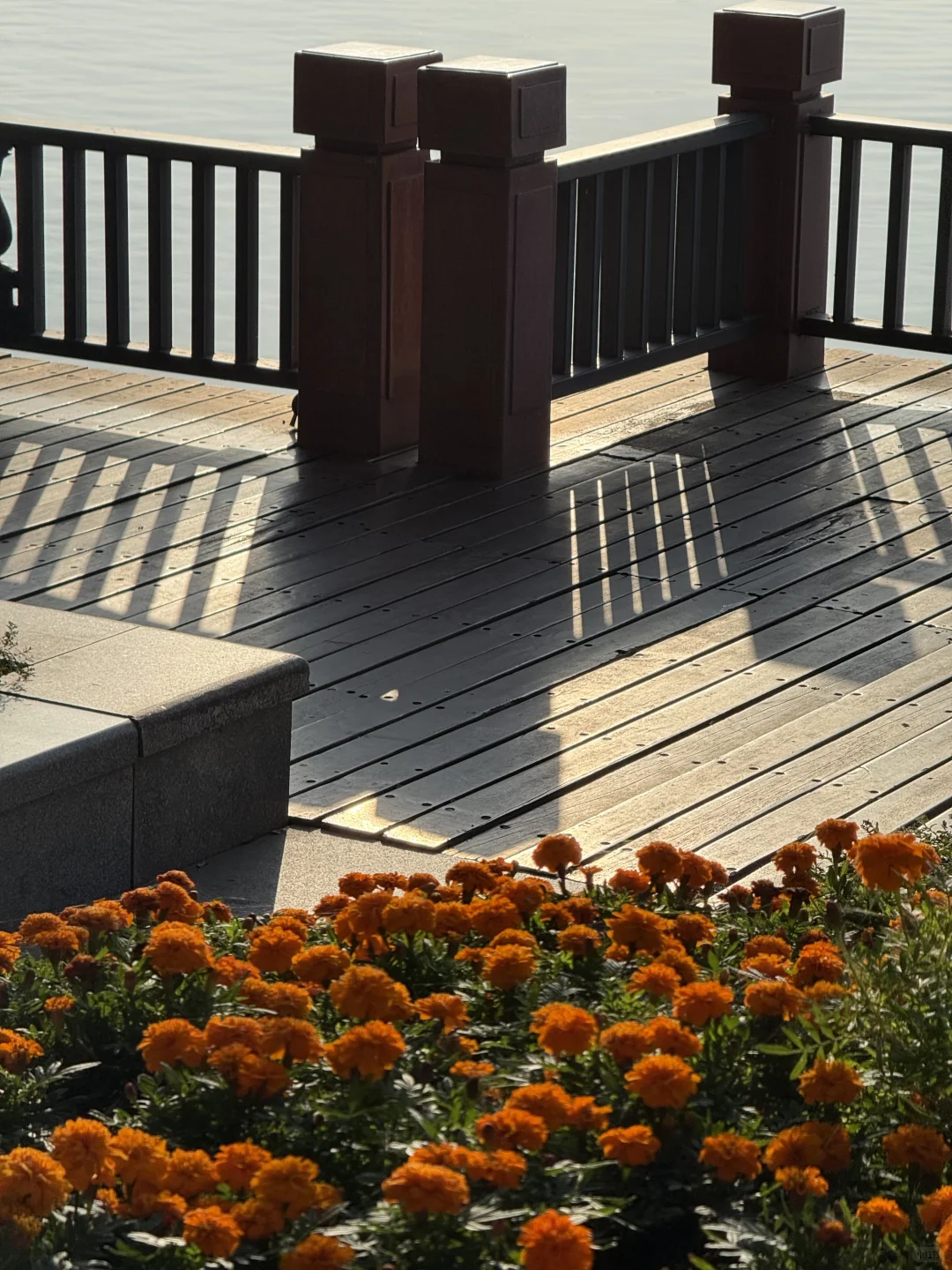 第一次来东湖玩什么？分享一下我的经验🧐