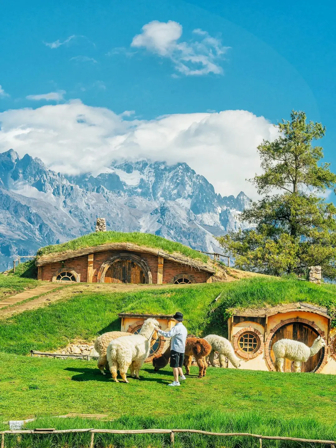 5.20🎈云南已回 暑假路线大公开❗gogogo