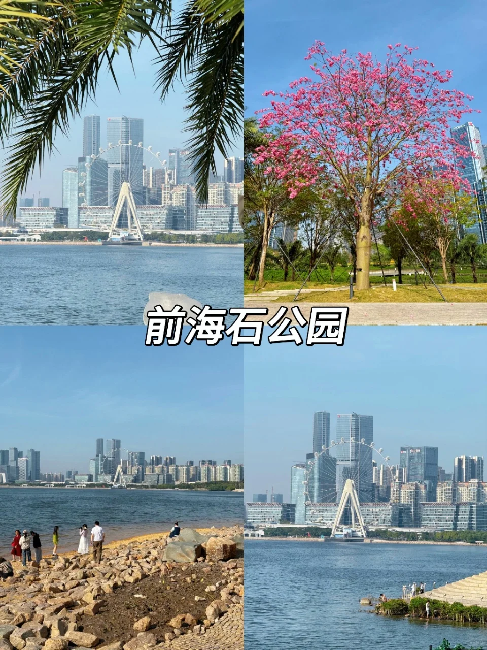 深圳citywalk|必打卡6大景点🔥