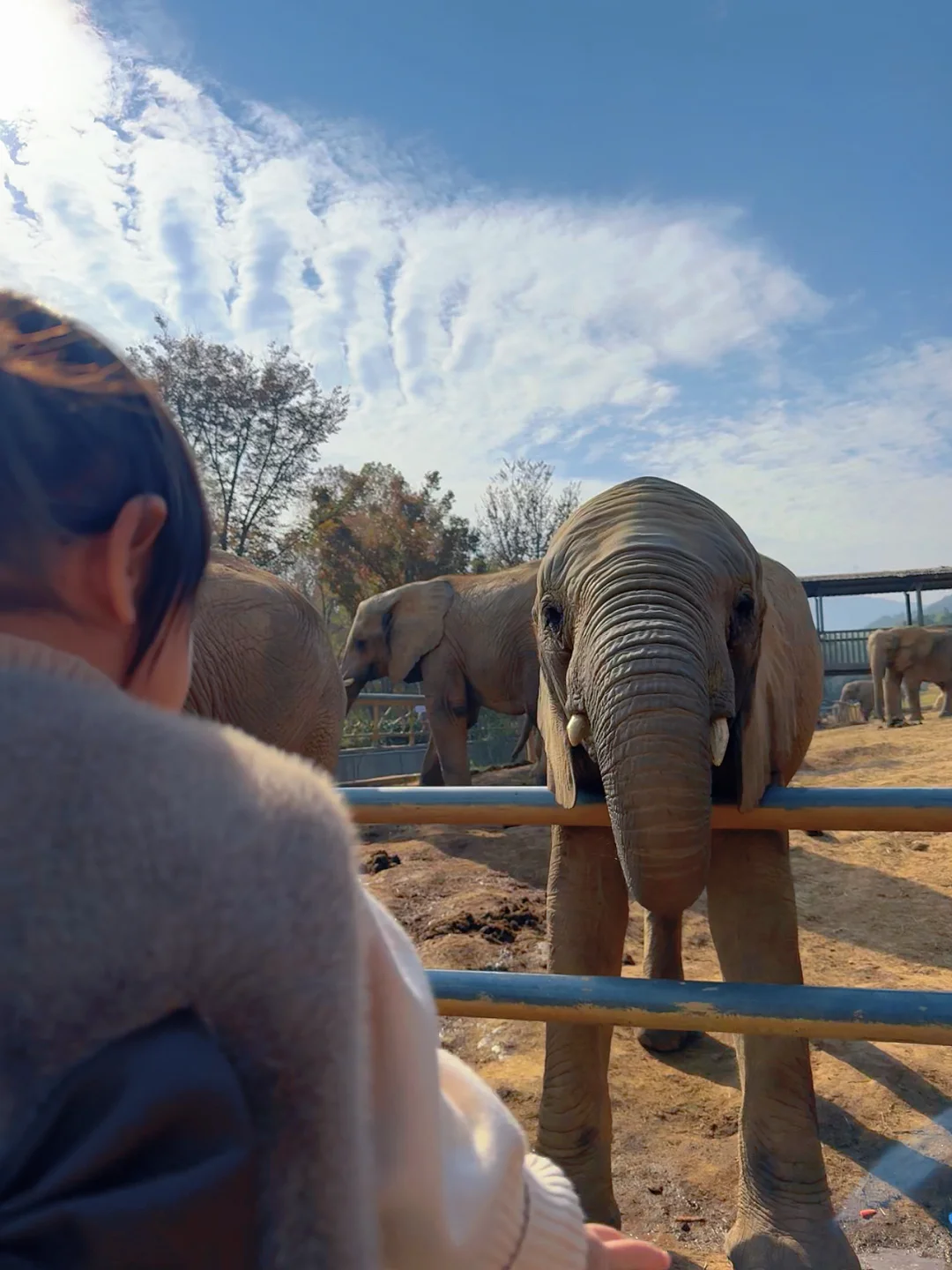 太湖龙之梦带娃瞎玩攻略!