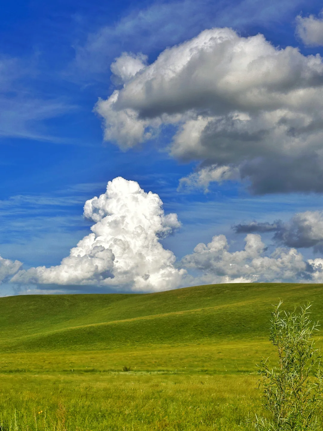一直开到云开见草原☁️