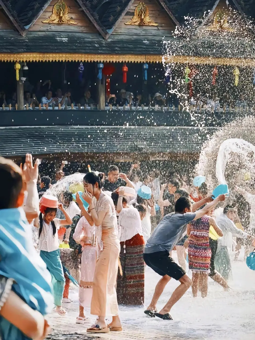 云南旅游📍昆明普洱版纳5天纯玩✨敲省心
