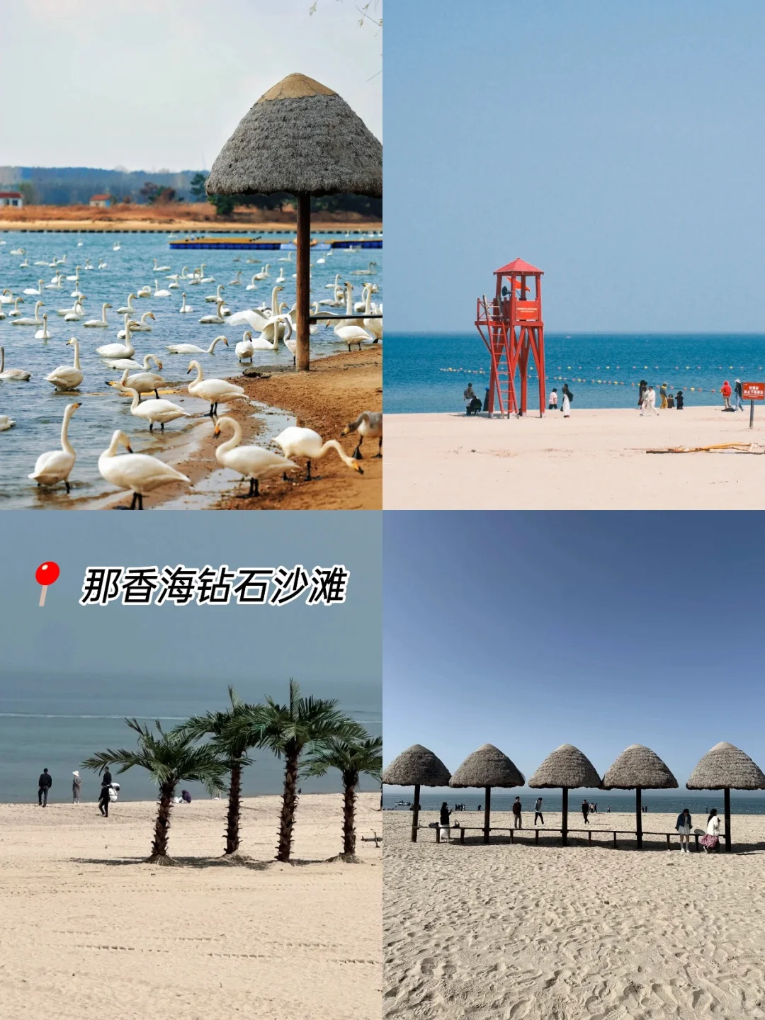 威海旅游攻略!!!一篇讲清楚威海景点怎么玩