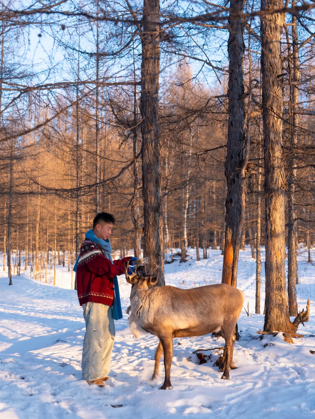 “后来,我逢人便说呼伦贝尔的冬天有多浪漫~”