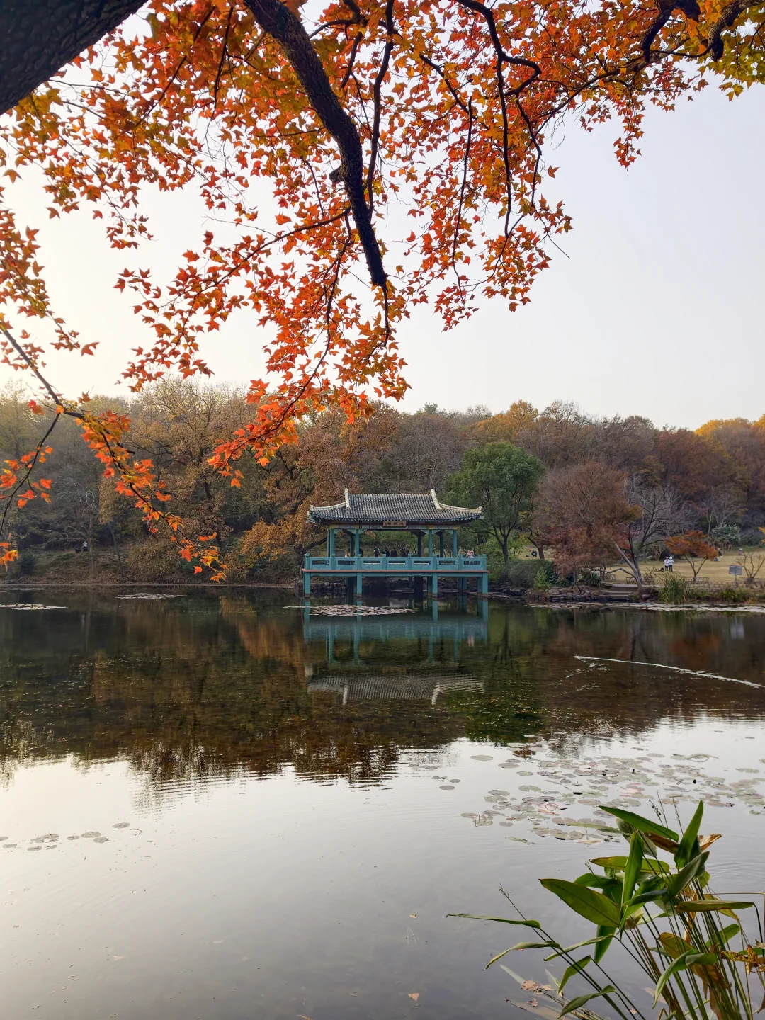 南京钟山流徽榭赏秋绝美路线