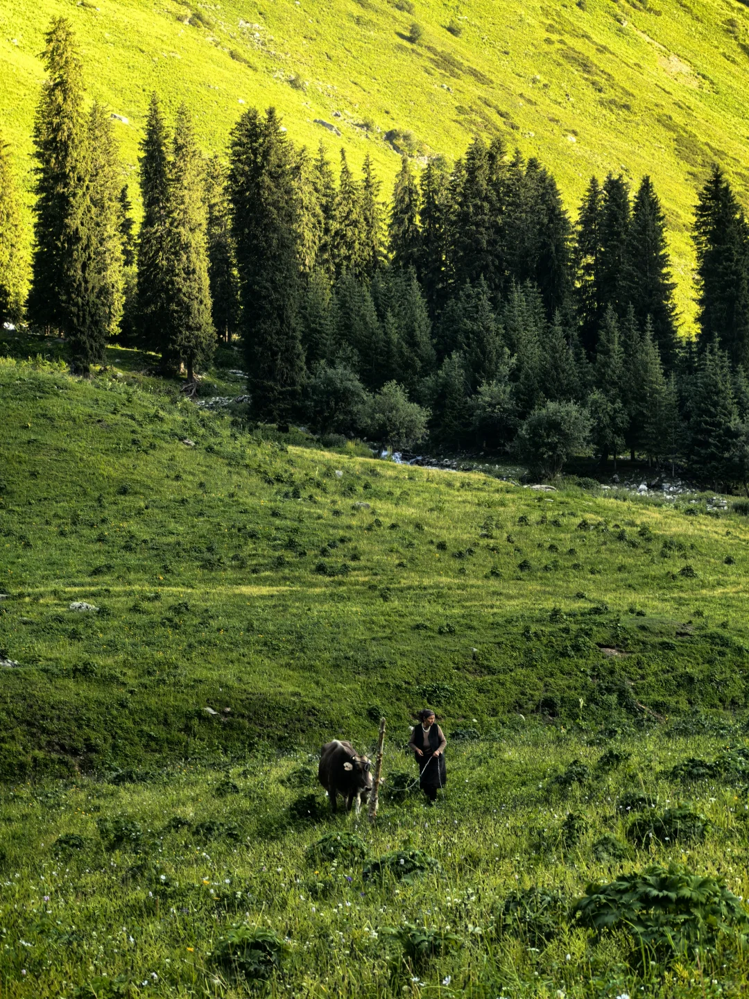 百里画廊-孟克特古道：遗落天山的荒野诗行