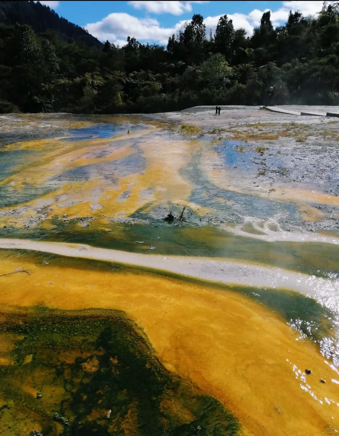 新西兰绝密仙境|乘船才能进的地热山谷🌋