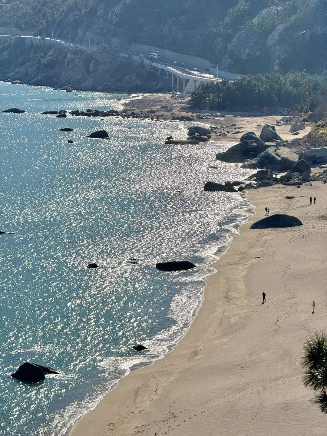 人生建议:去青岛一定要坐次1元环海公交……