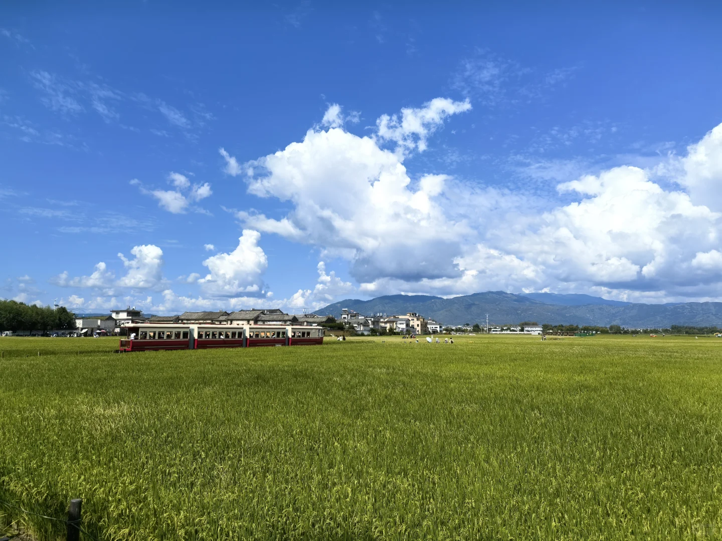 云南之大理篇~去有风的地方