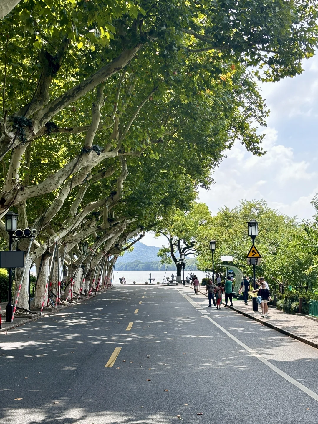 为了这1️⃣8️⃣张照片，特意去了一趟杭州…