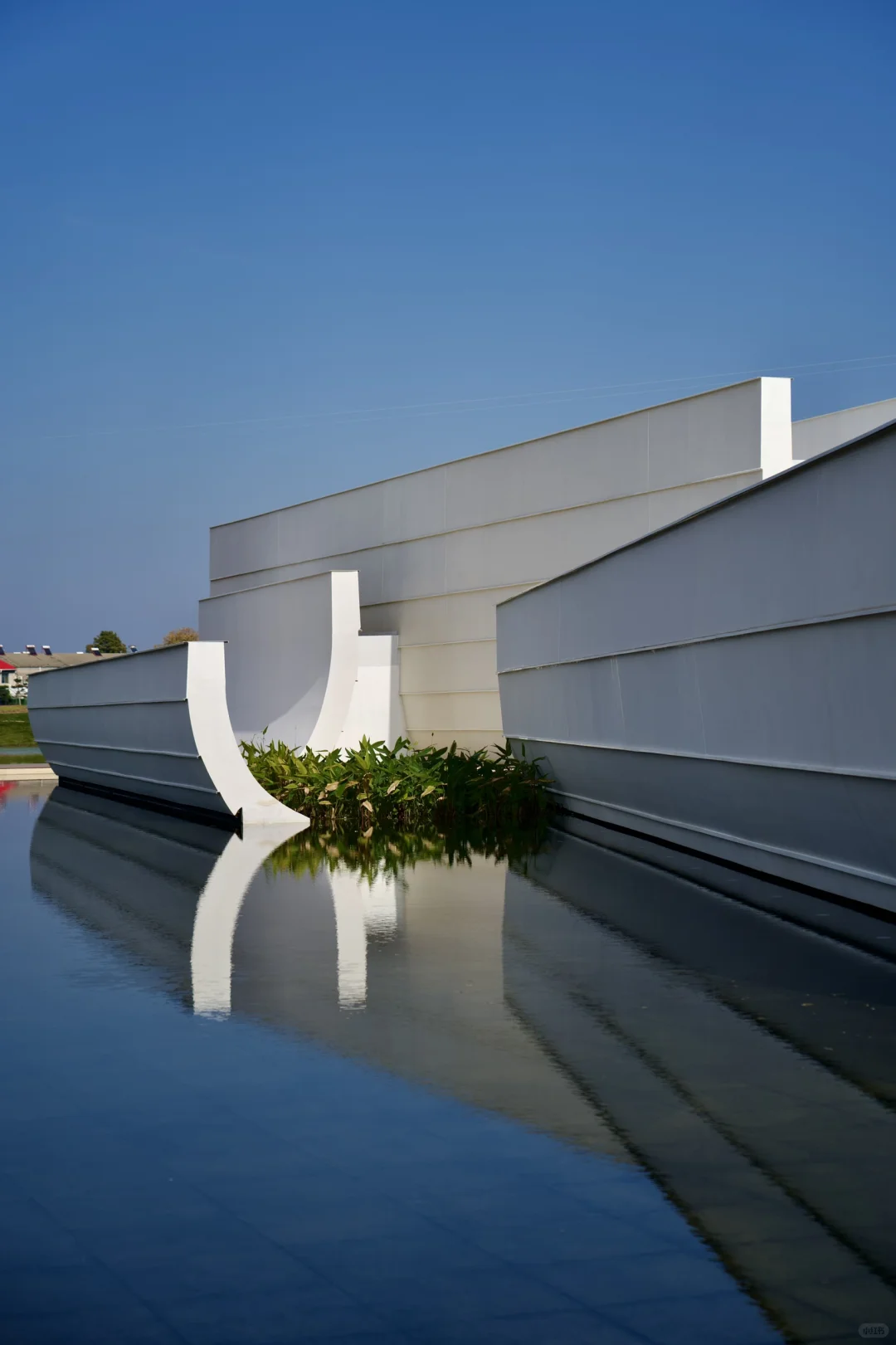 在武汉蔡甸找到了鹿客岛的平替,乌桕树已红