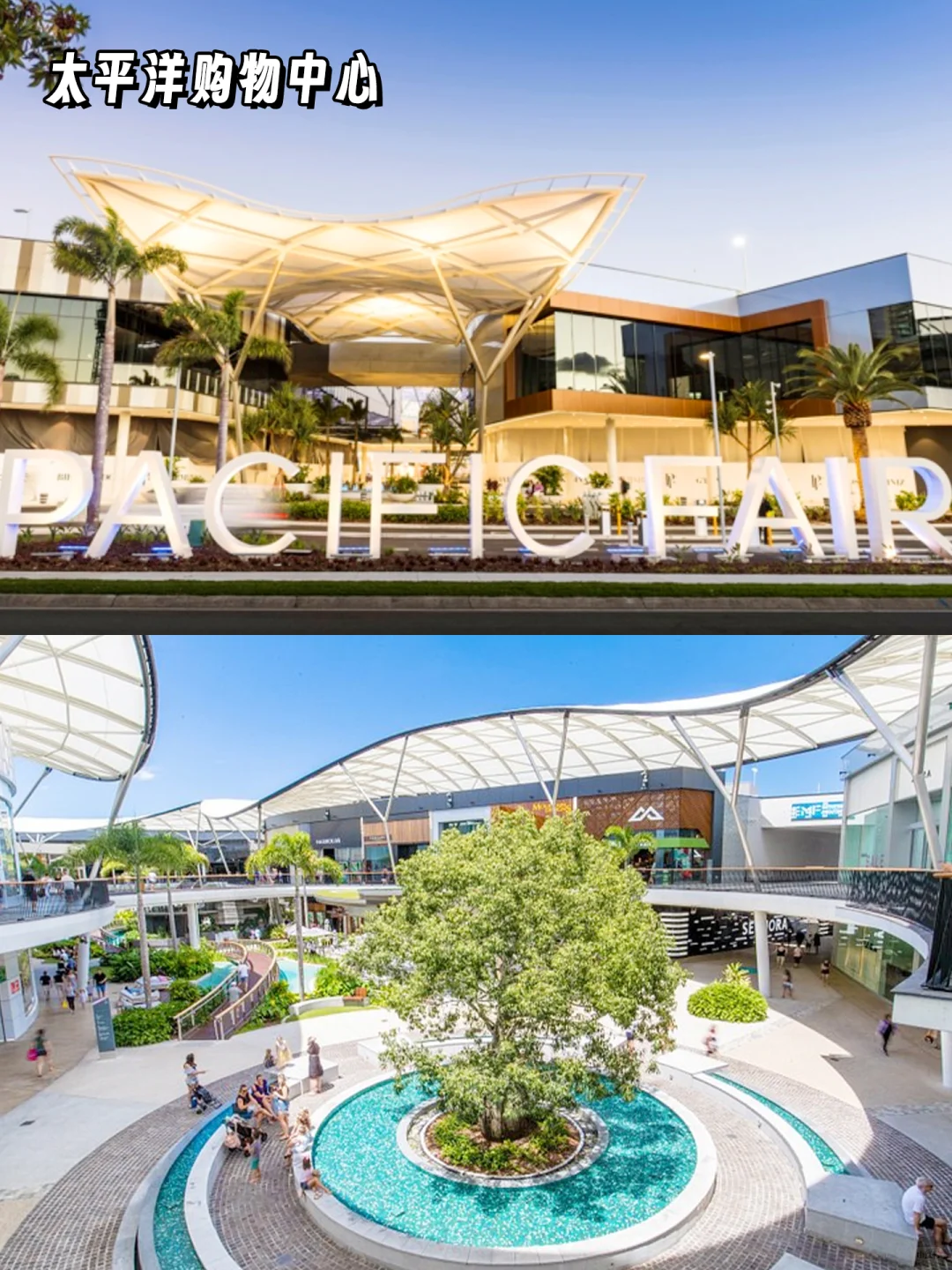 黄金海岸必玩！治愈系旅行清单快收好✨