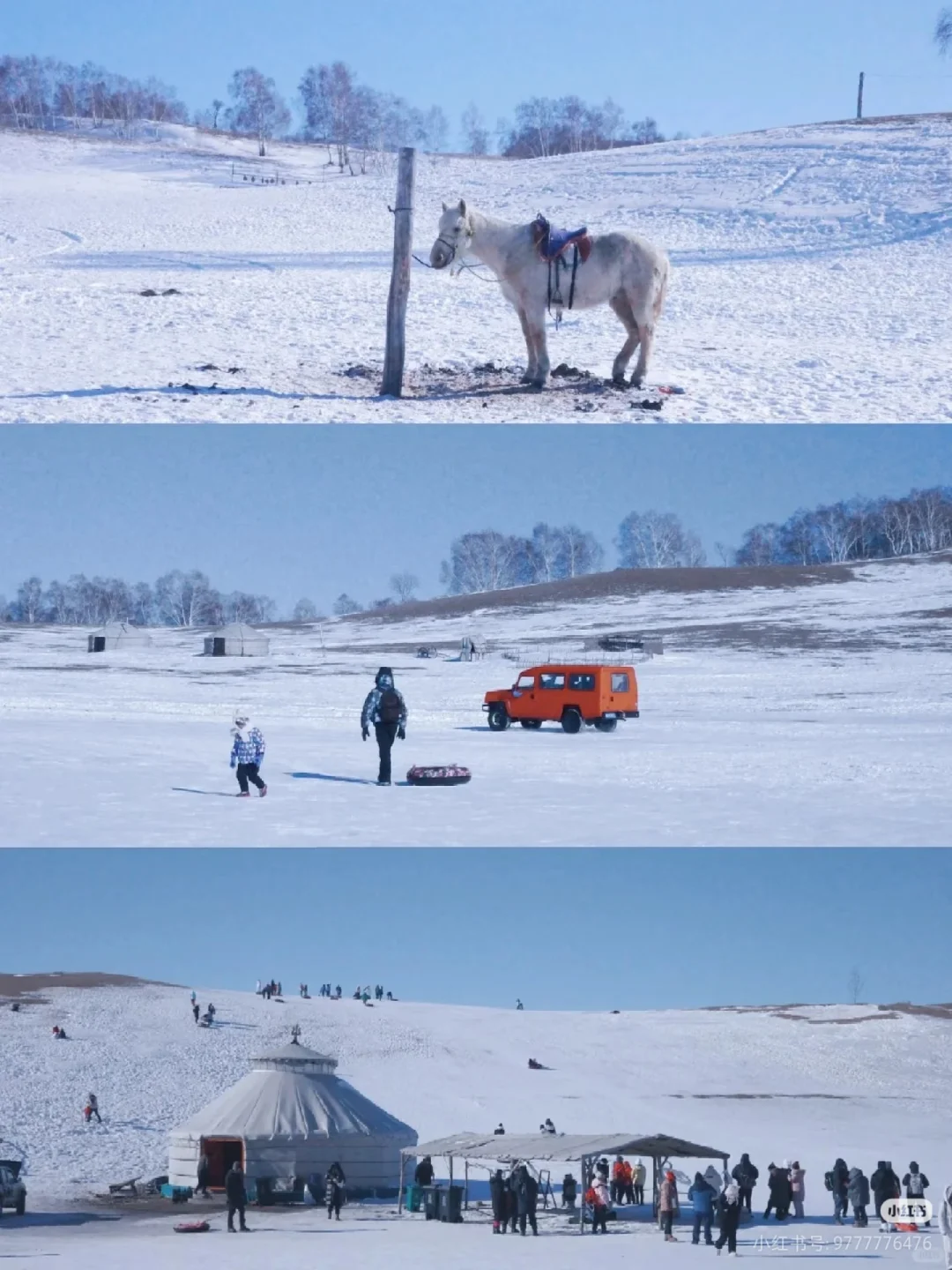 别再被骗了😭去乌兰布统这样玩，才值得❗