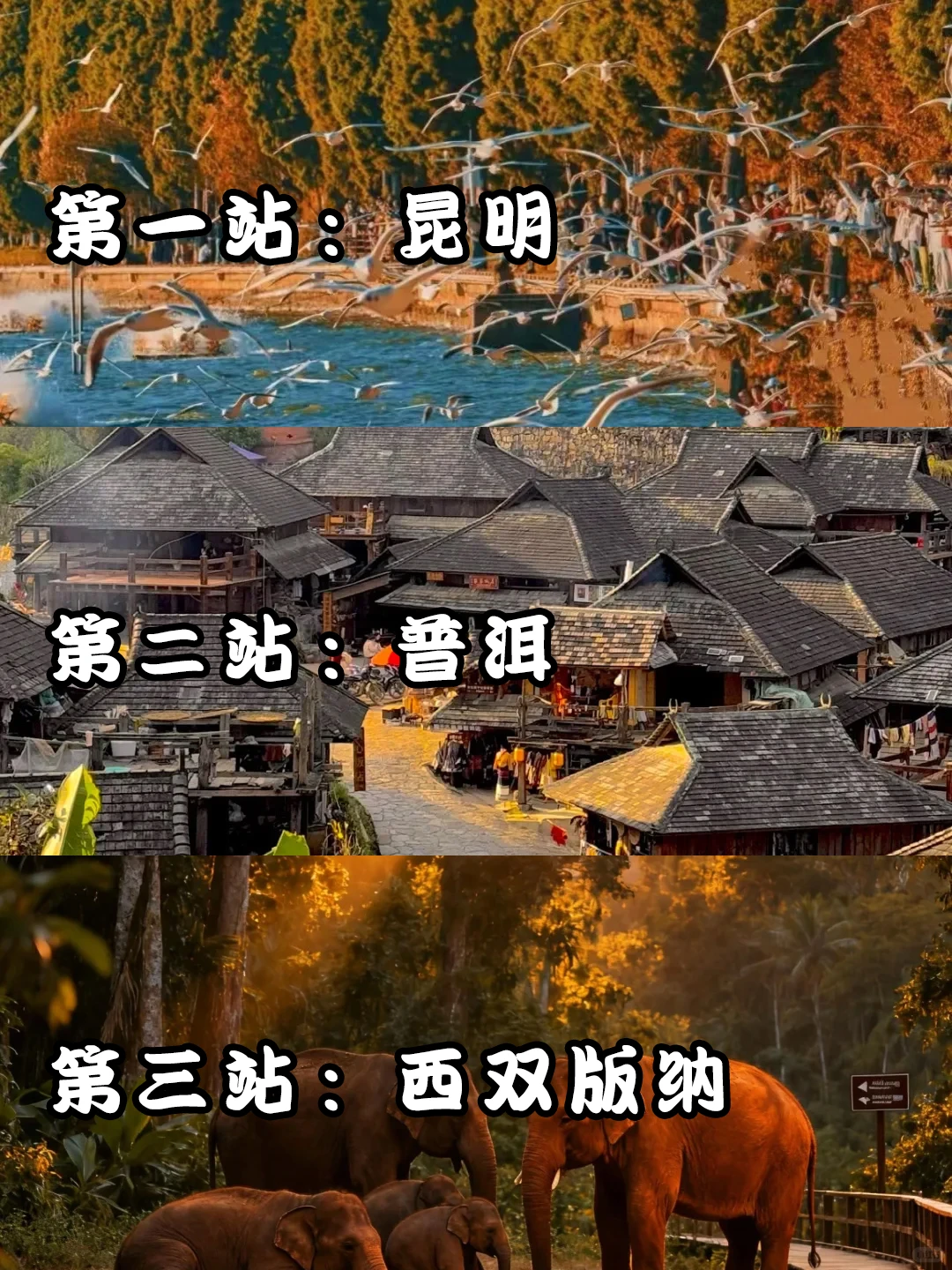 云南旅游📍昆明普洱版纳5天纯玩✨敲省心