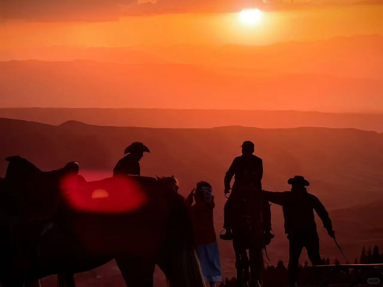 12.1📍新疆已回,不博眼球(纯分享版)!