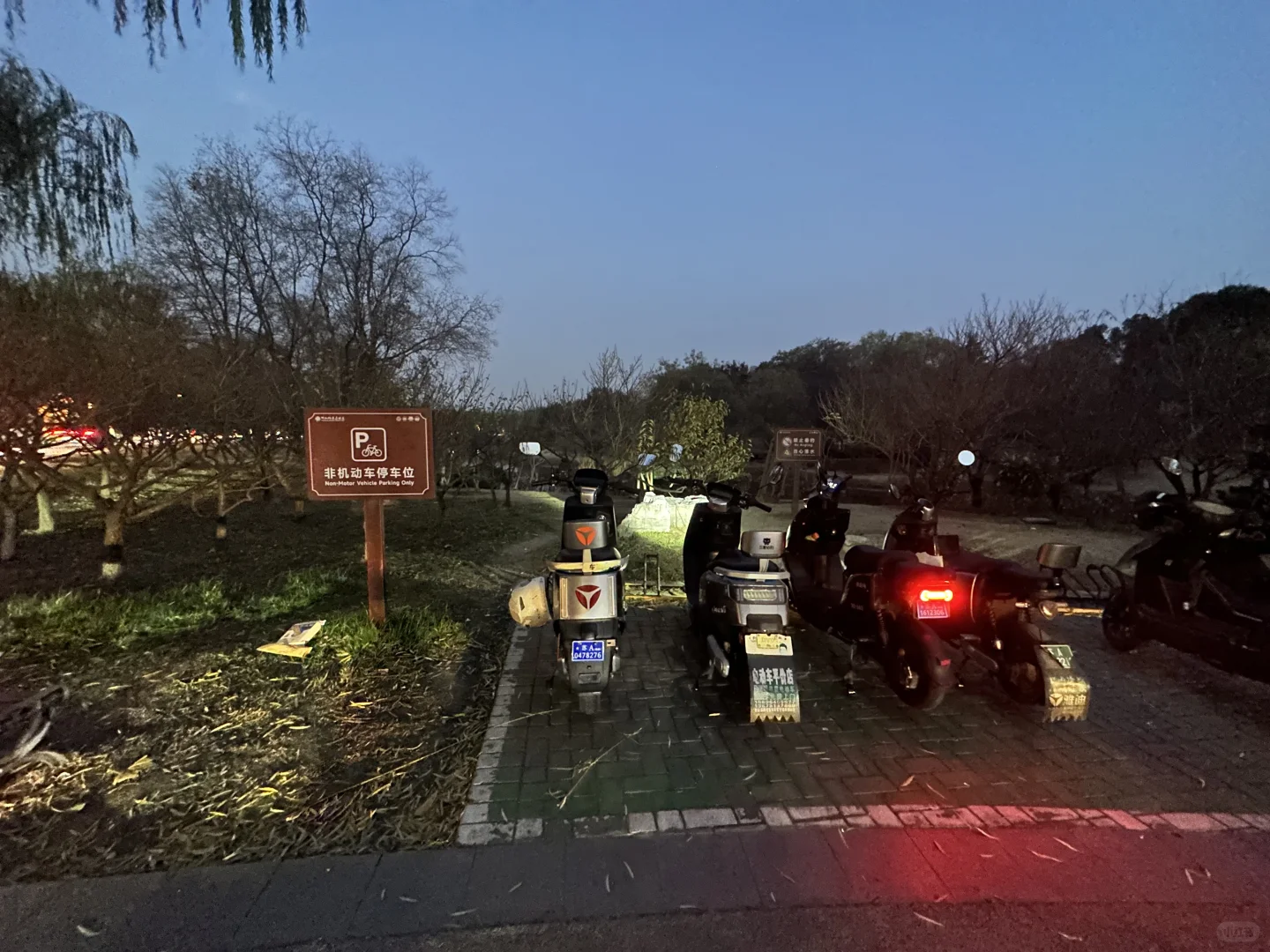 明孝陵3号门最快免费入园攻略