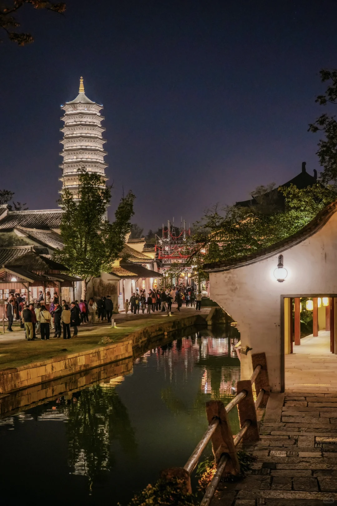 为了这棵1000年银杏，我特意去了趟浙江🍂