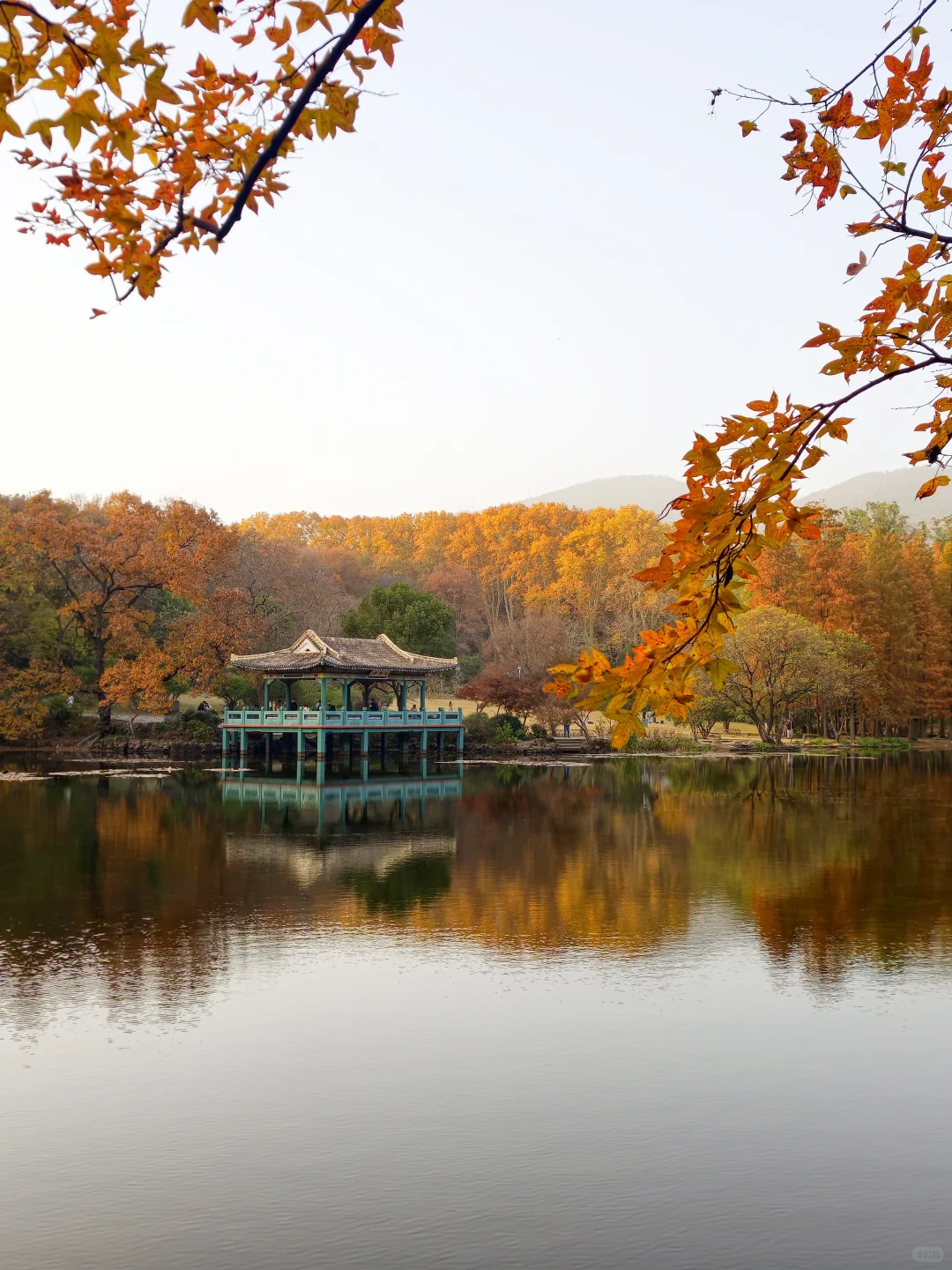 南京钟山流徽榭赏秋绝美路线