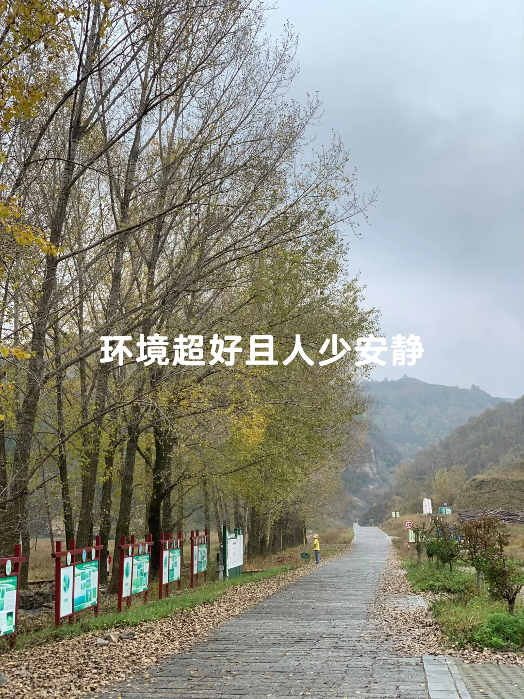 避开人潮！山西 “小阿勒泰” 人少景美🌲