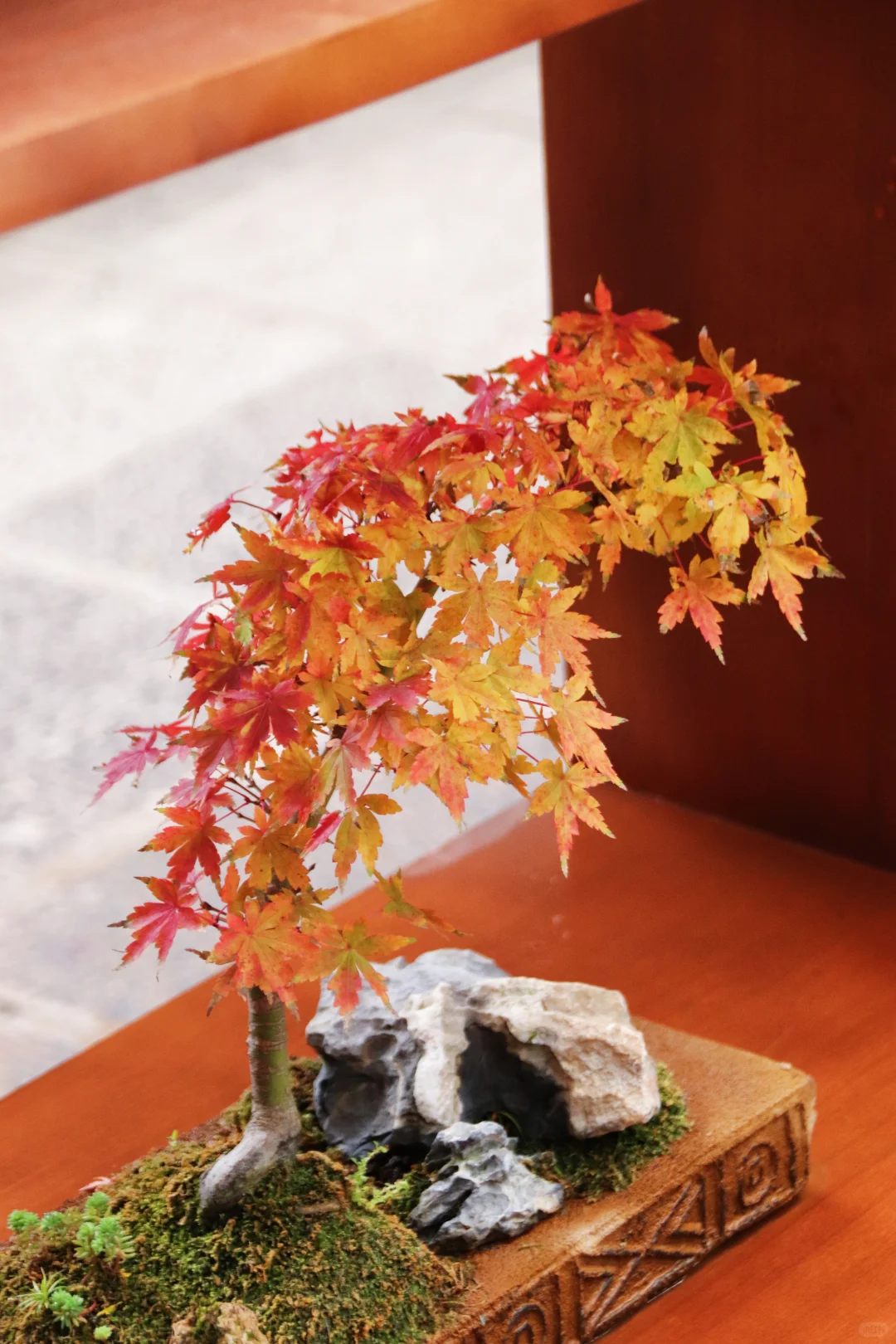 这个季节的惠山古镇,谁来了都要驻足欣赏