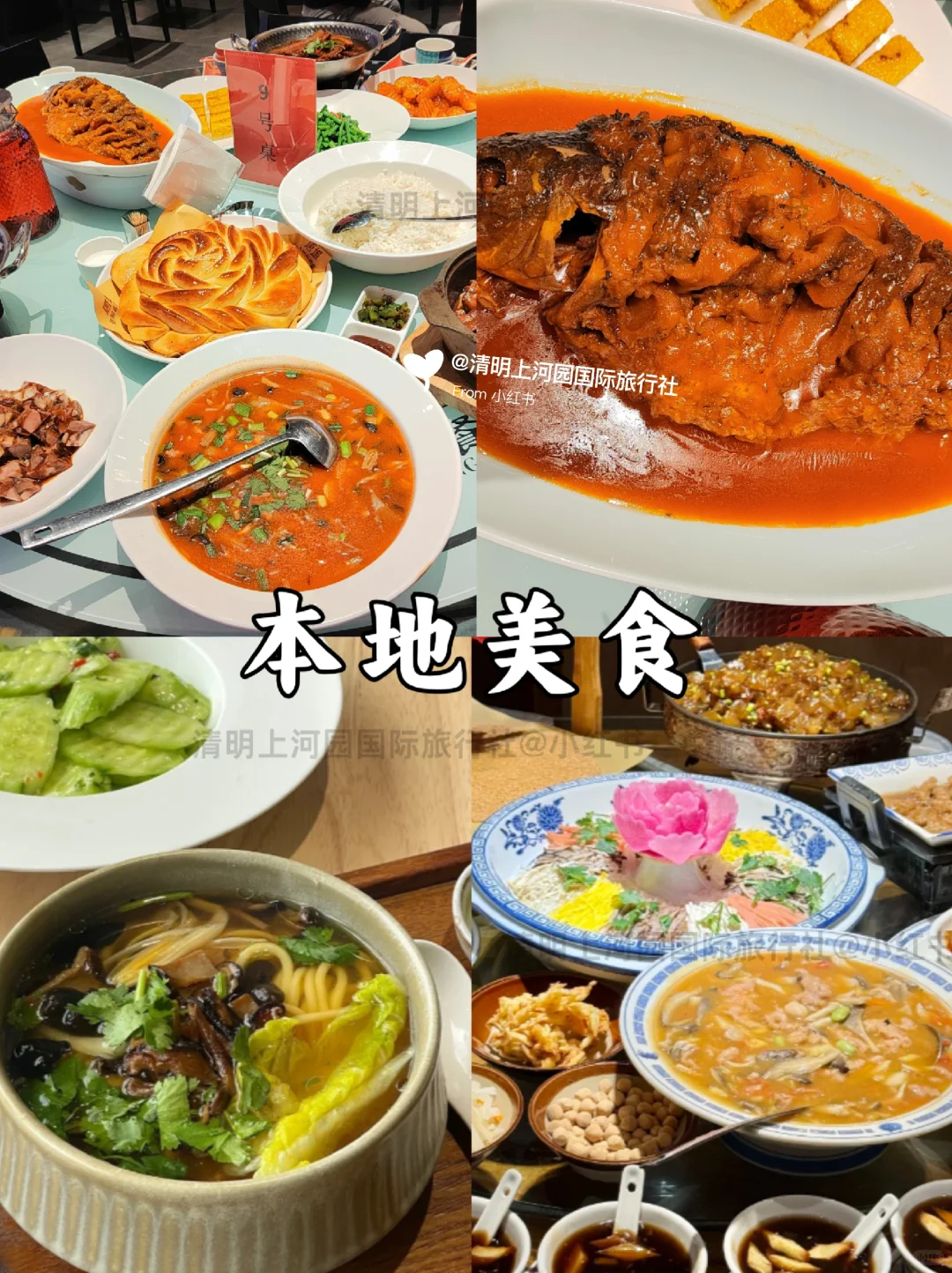 在河南玩5天😁家长都夸的省心路线