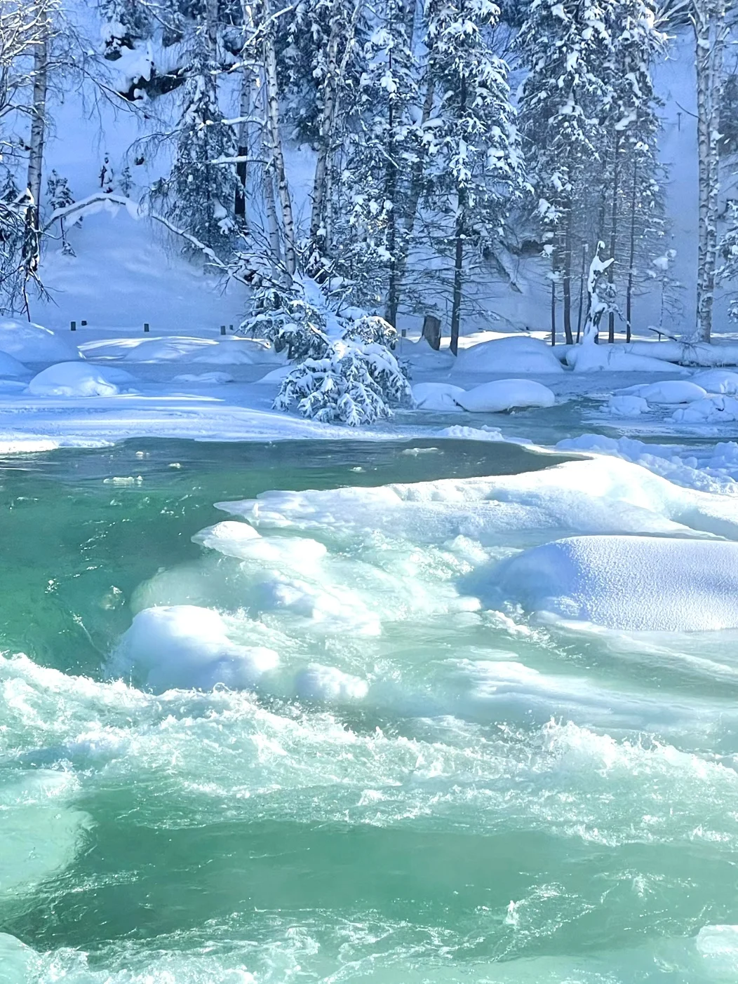 喀纳斯隐藏秘境｜99%游客不知道的打卡点