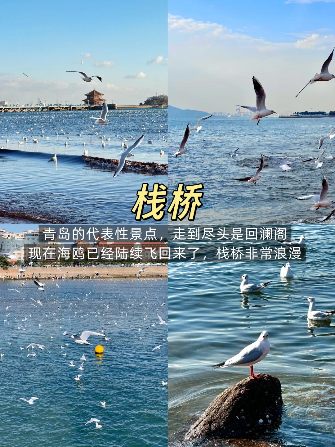 青岛📍两日游丨保姆级不走回头路逛吃攻略