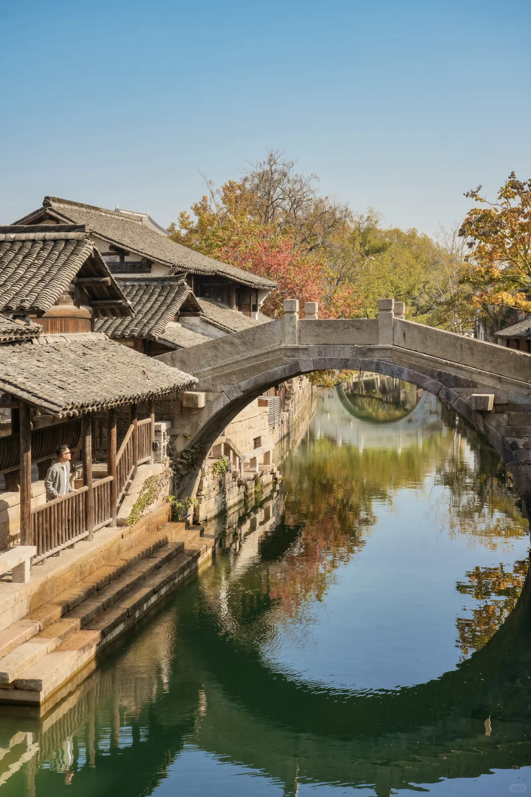 为了这棵1000年银杏，我特意去了趟浙江🍂