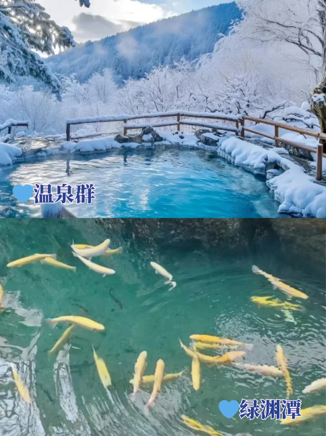 长白山刚回‼️呈上J人整理的保姆级攻略