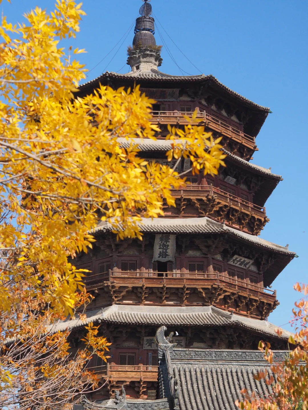 山西大同三日游🍂邂逅秋色与古建