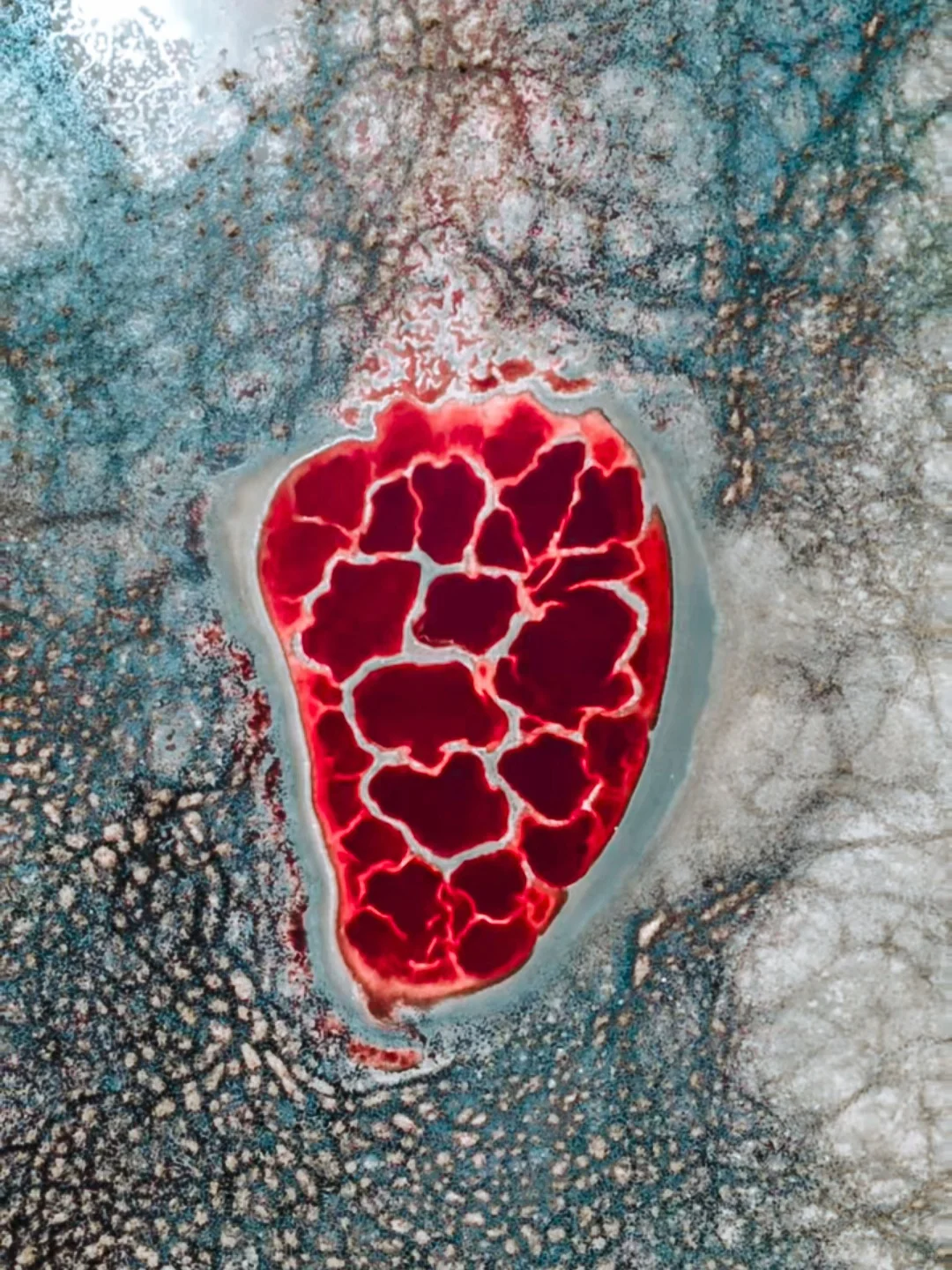 如果地球有心脏，那一定是在这里！