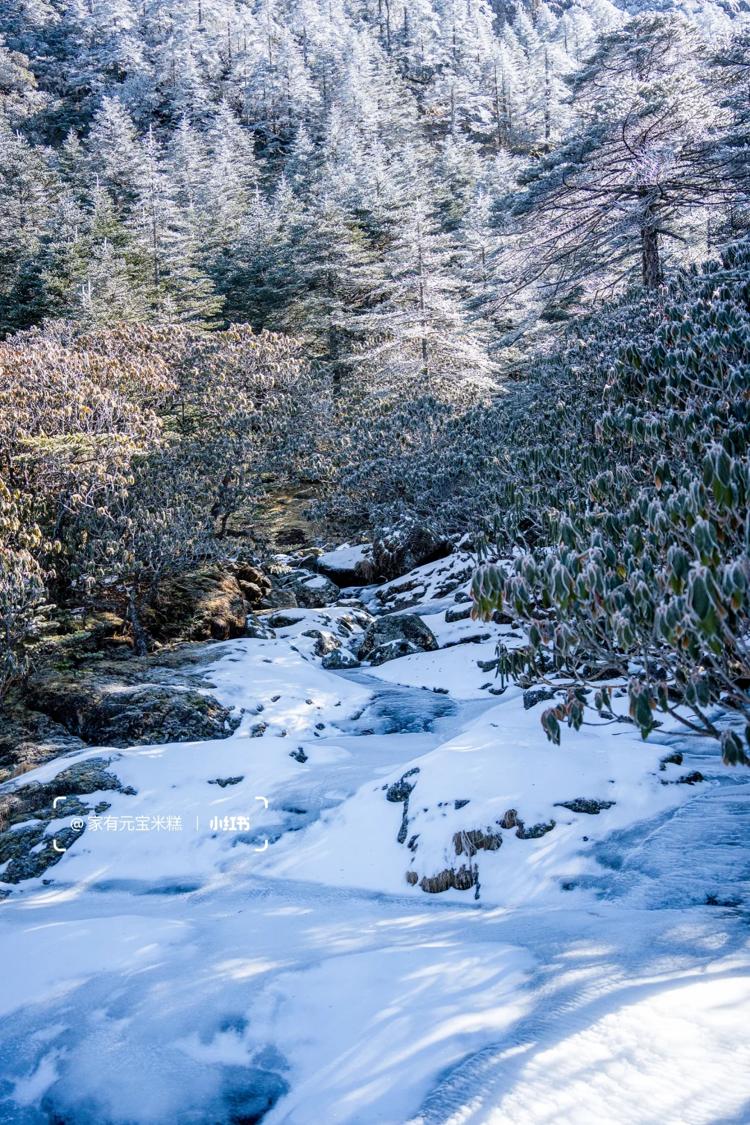 为了这些瞬间 特意去了一趟春城之巅轿子山