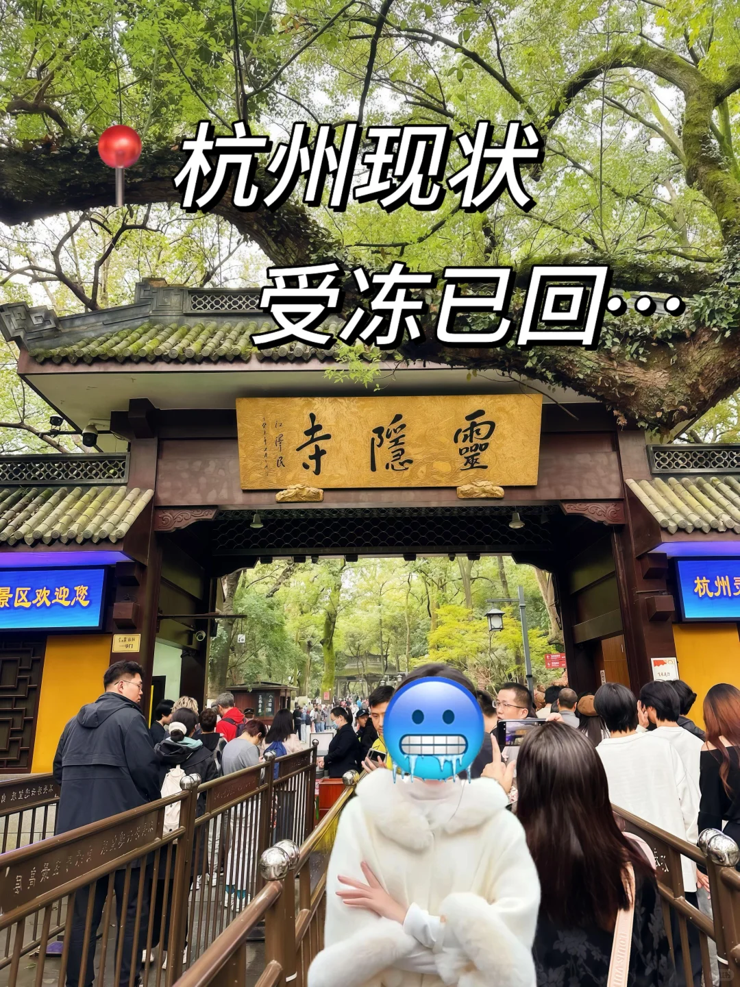 📍11.15杭州受冻已回🥶🥶崩溃了...