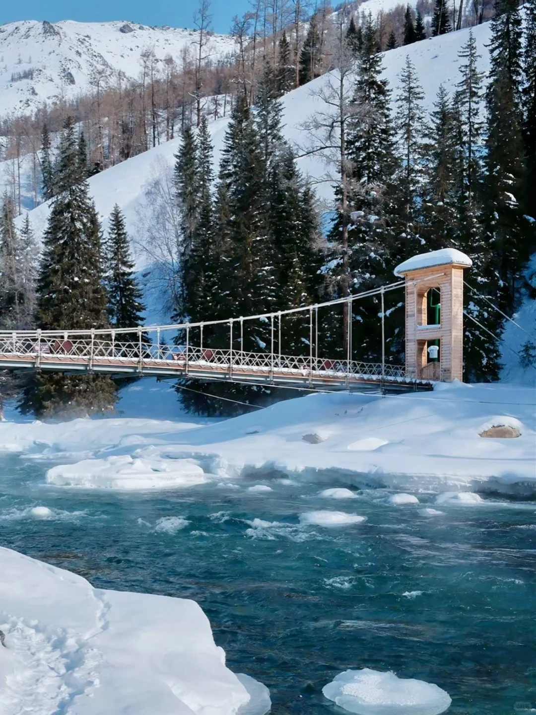 喀纳斯隐藏秘境｜99%游客不知道的打卡点