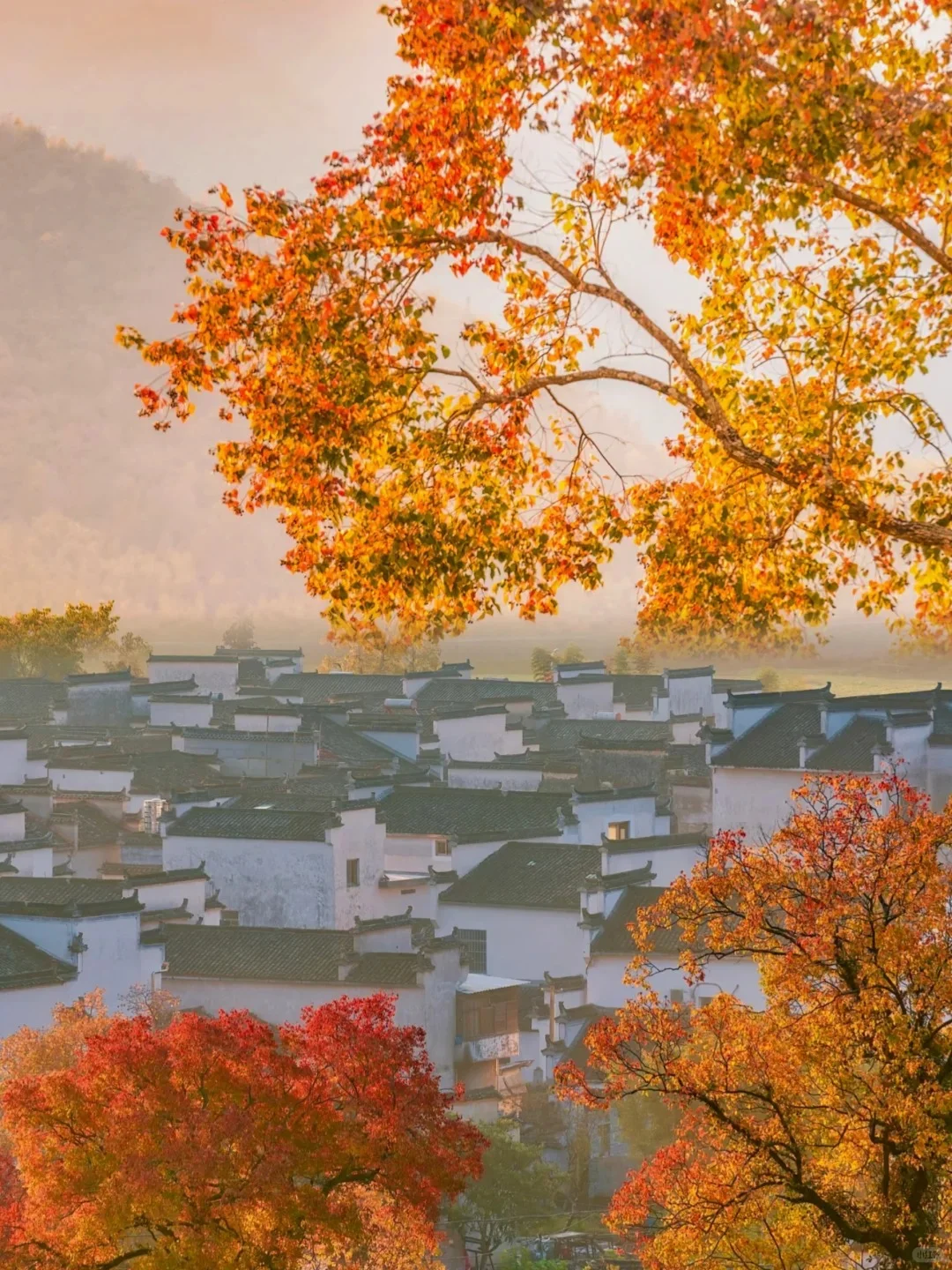 今年11~12月，只带娃去一个地方：徽州赏秋！🤩