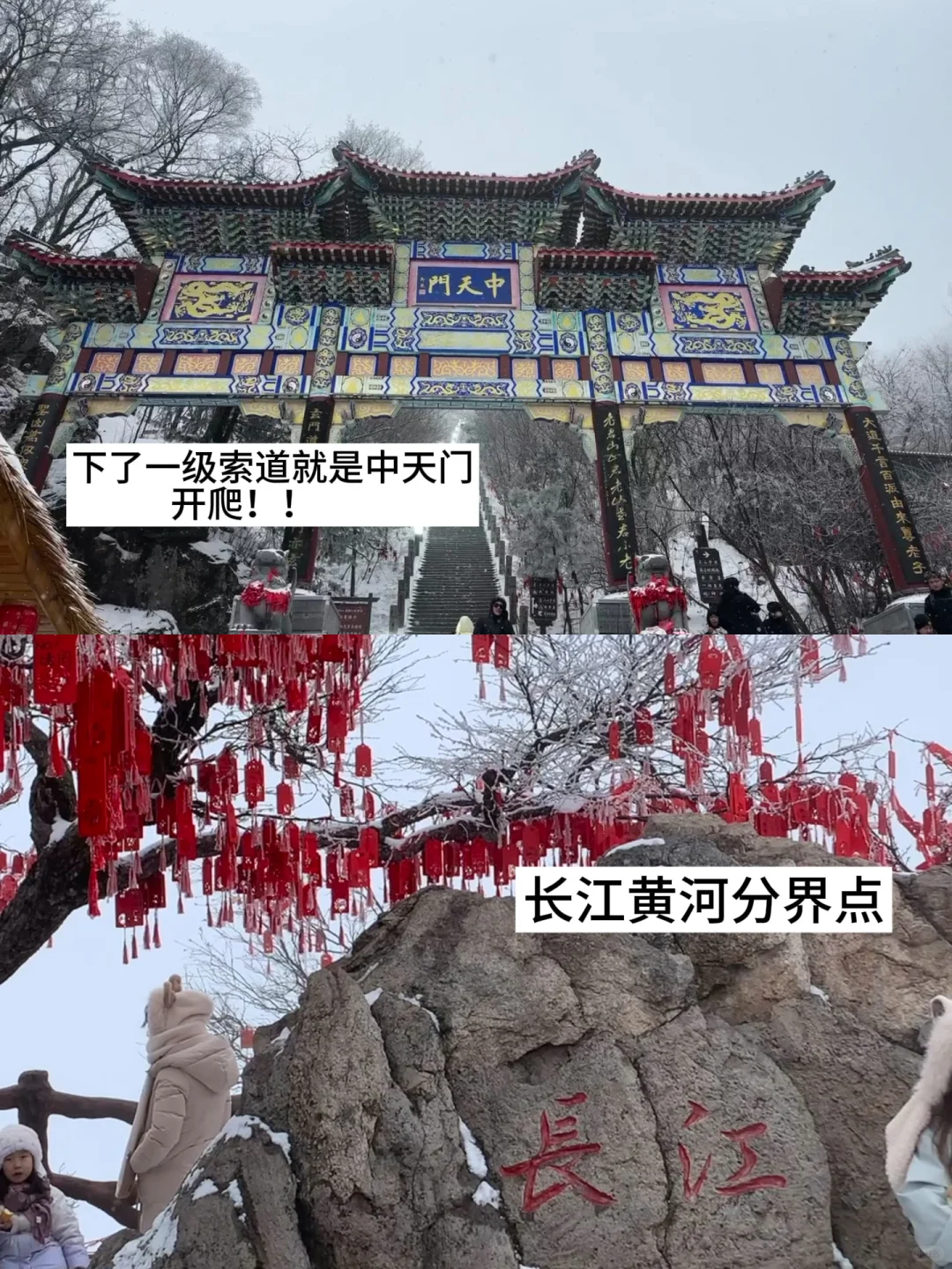 宁波→洛阳4天3夜，盛唐美学拉满✨