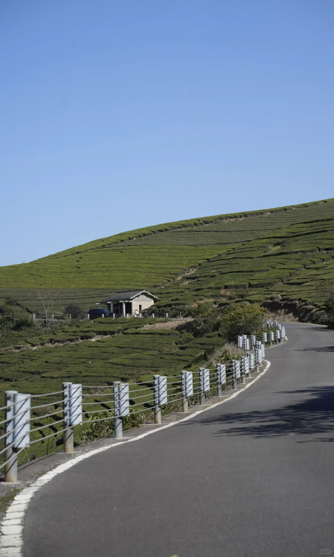 东钱湖福泉山大环线 去晚了