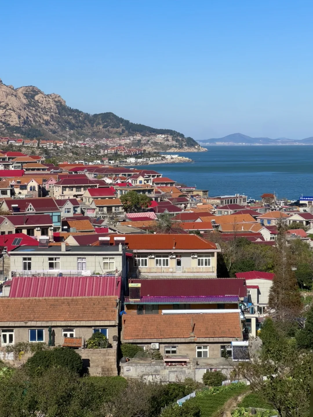 人生建议:去青岛一定要坐次1元环海公交……