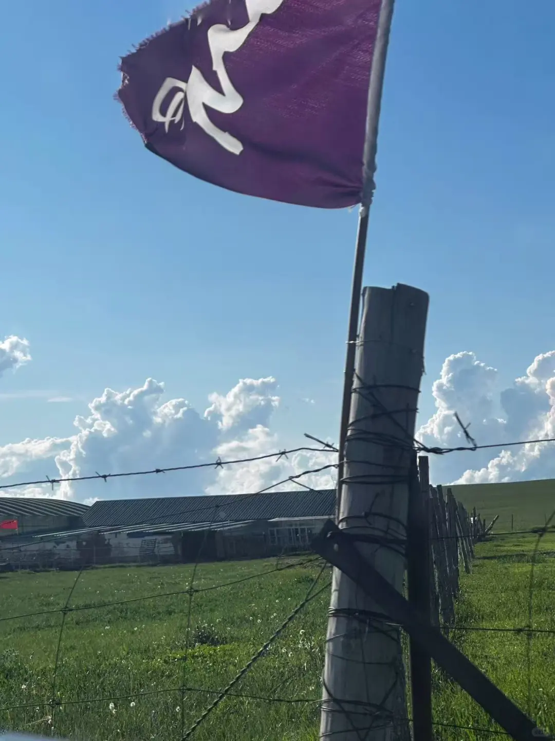 一直开到云开见草原☁️