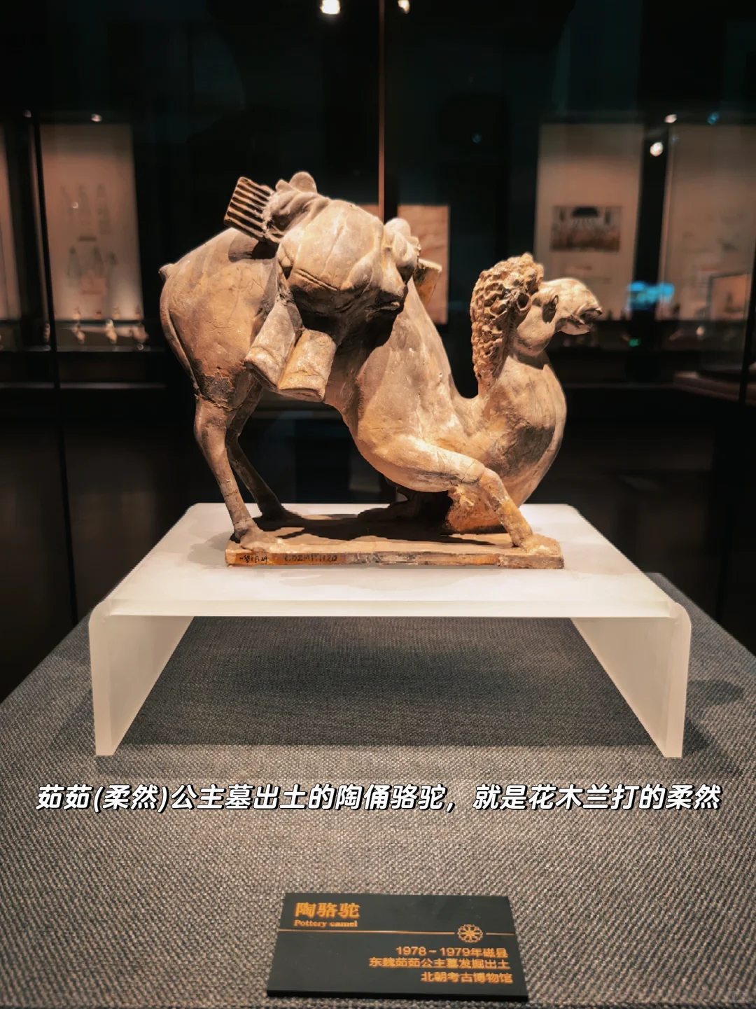 磁县|北朝的野心是一条吞噬银河的巨蟒