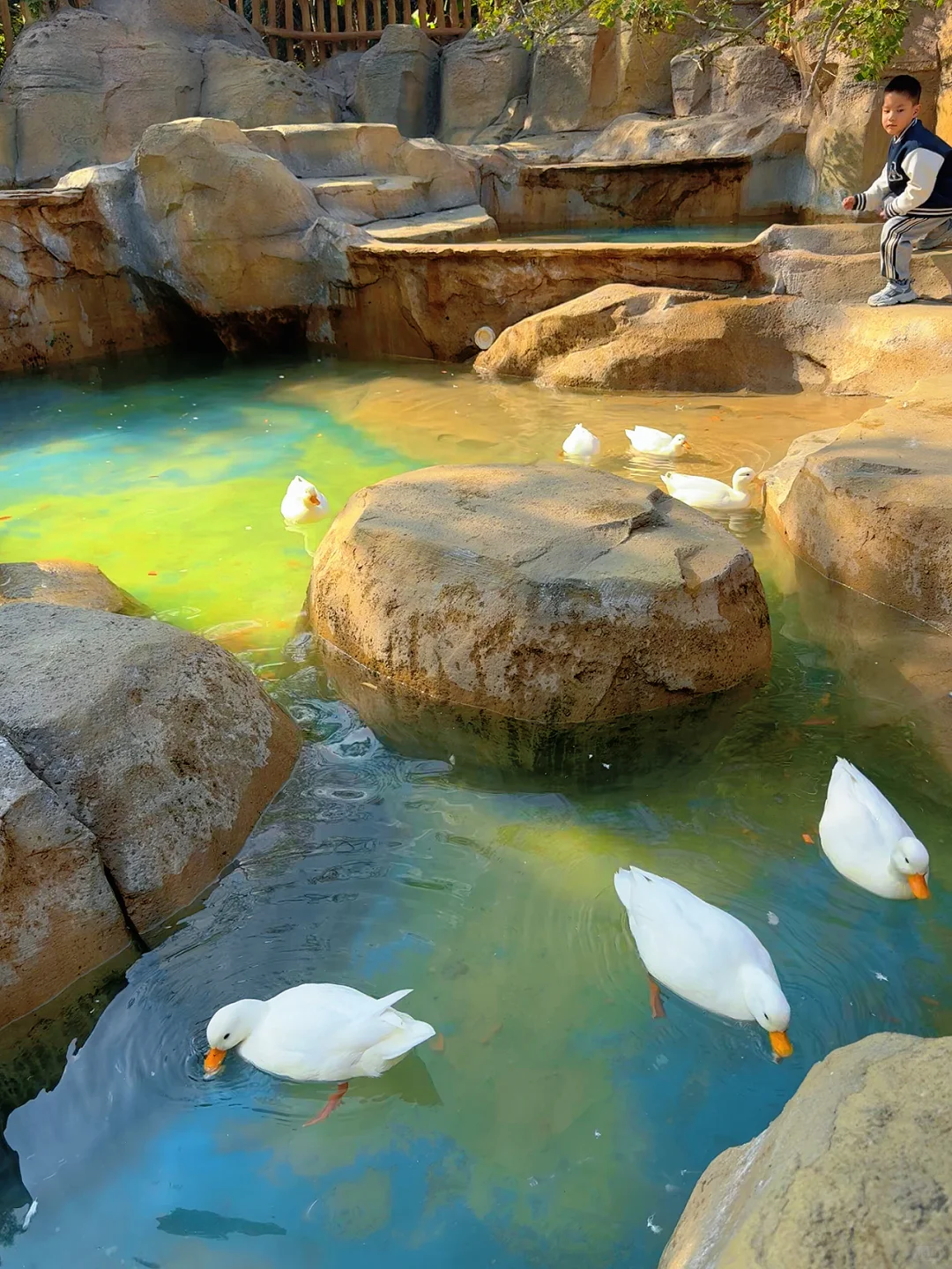 太湖龙之梦带娃瞎玩攻略!