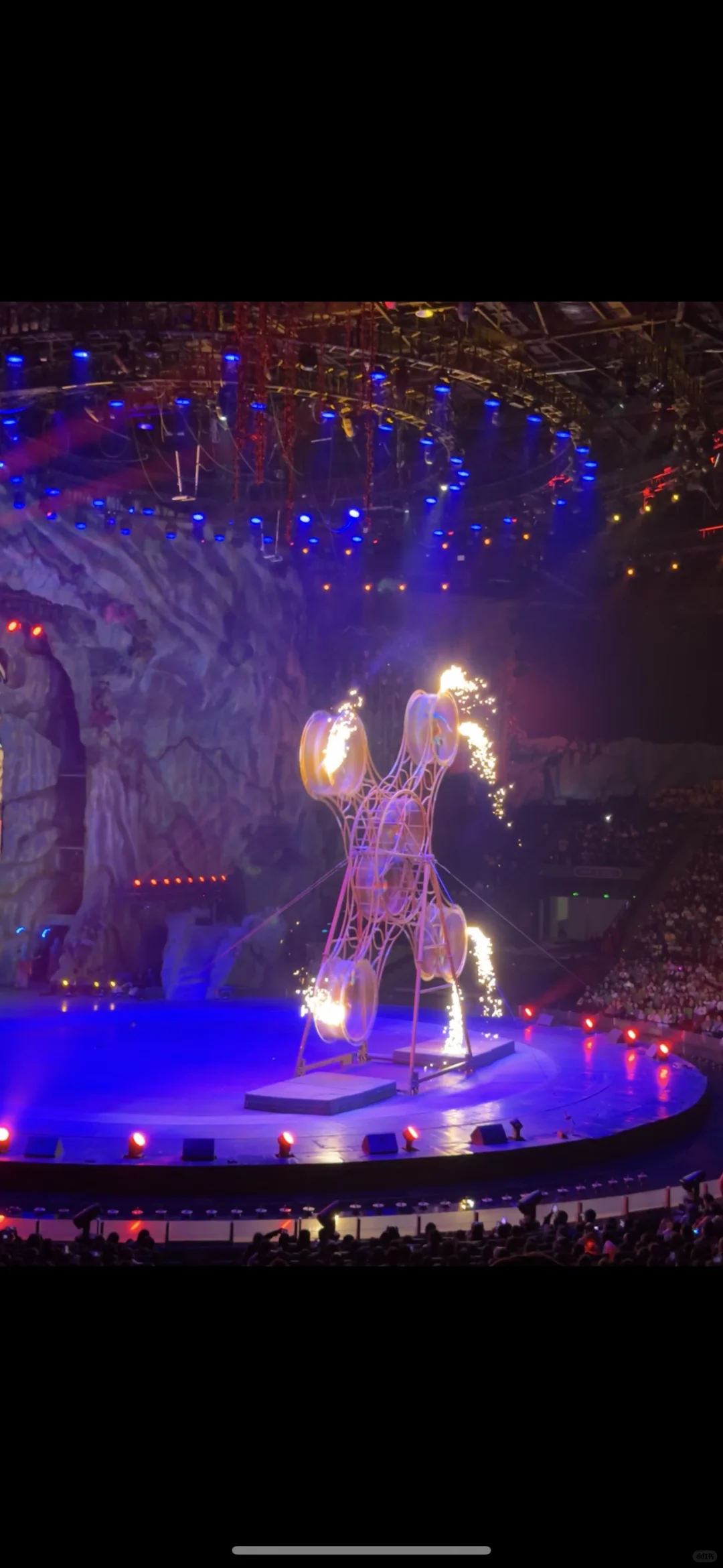 太湖龙之梦带娃瞎玩攻略!