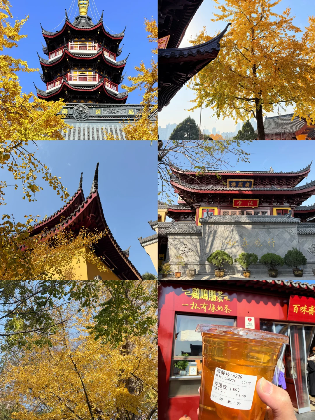 南京人带玩3天🍁附攻略🔥广东人哪见过深秋