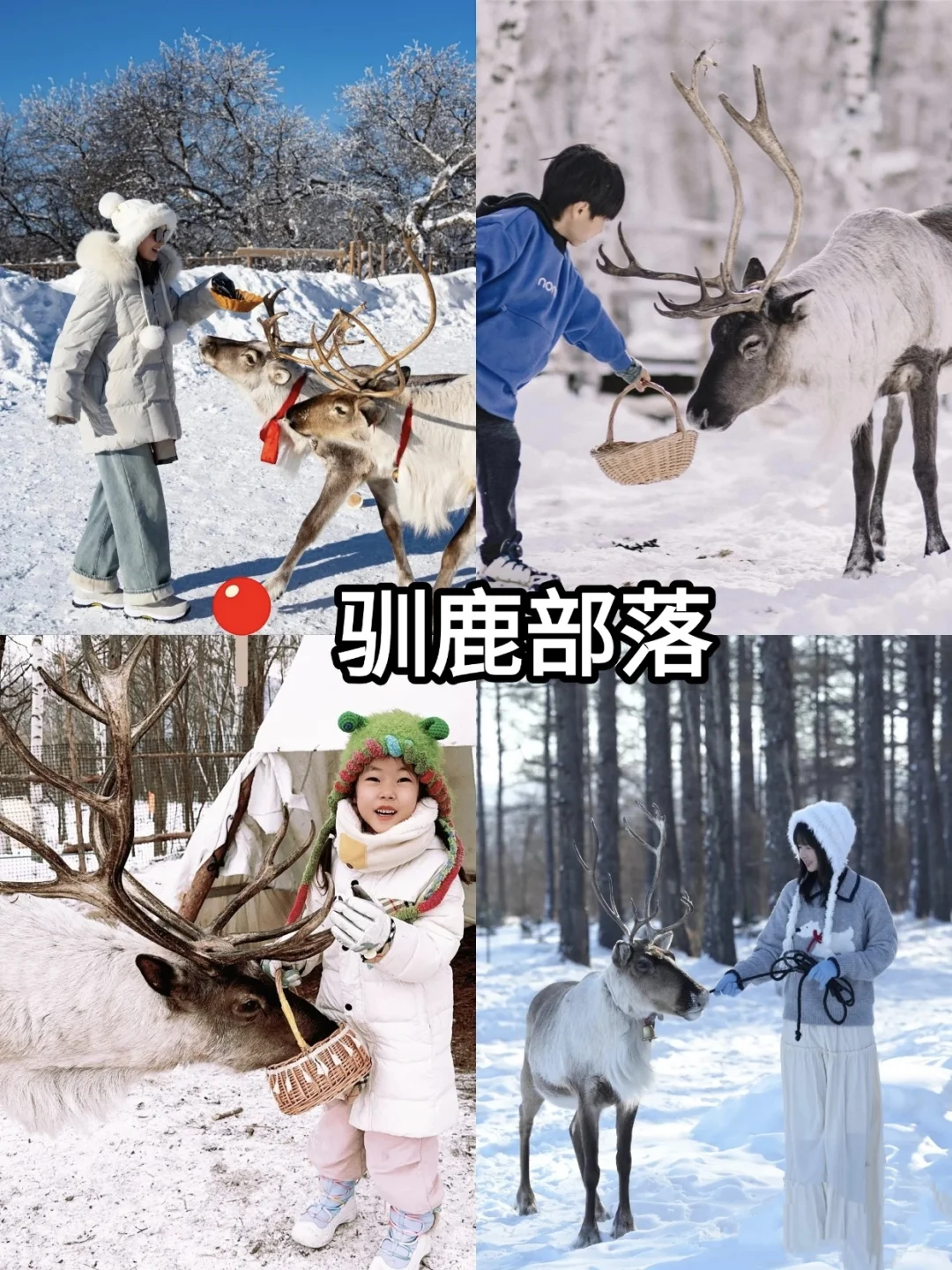 别再被骗了😭去乌兰布统这样玩,才值得❗