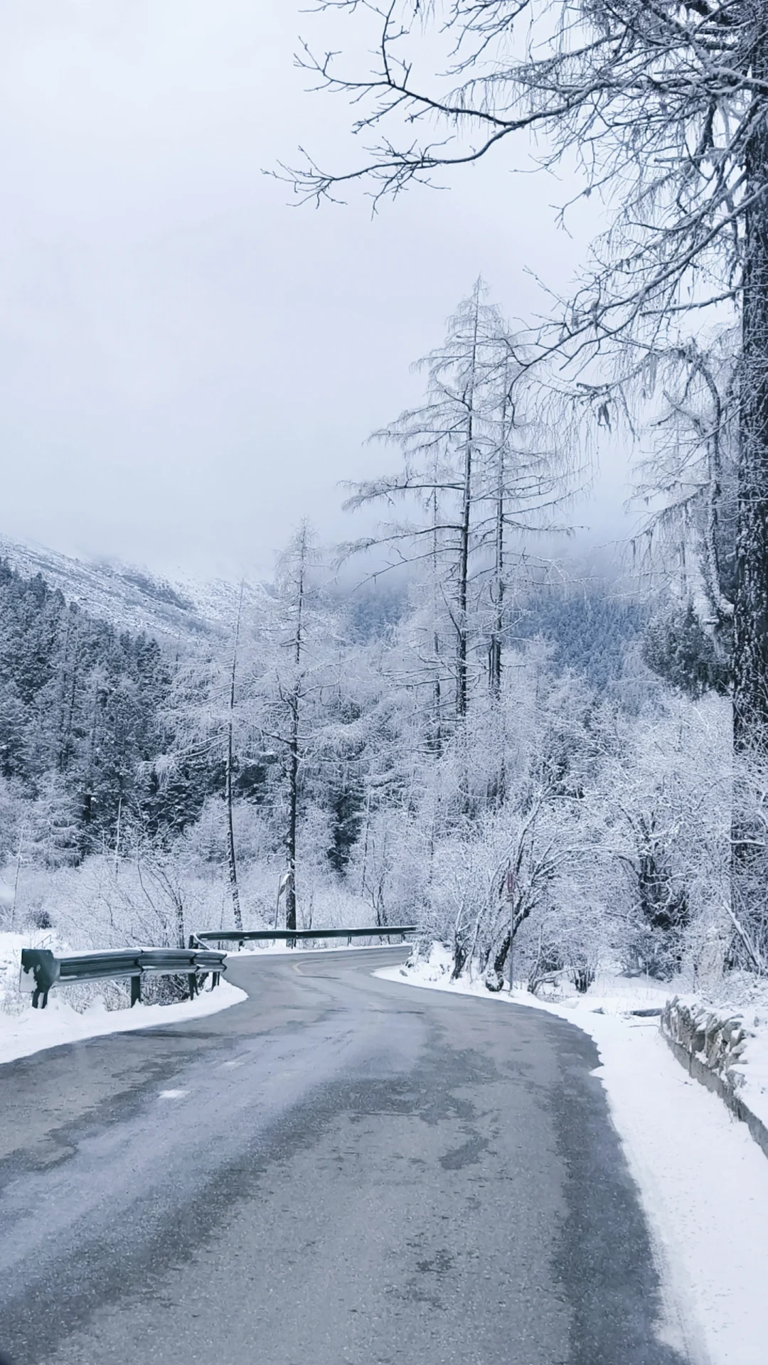 成都周边玩雪日记❄️|又免门票啦