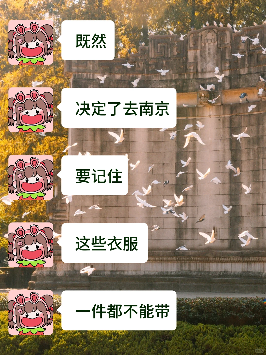 11-12月准备来南京的真的不要乱带衣服❗❗