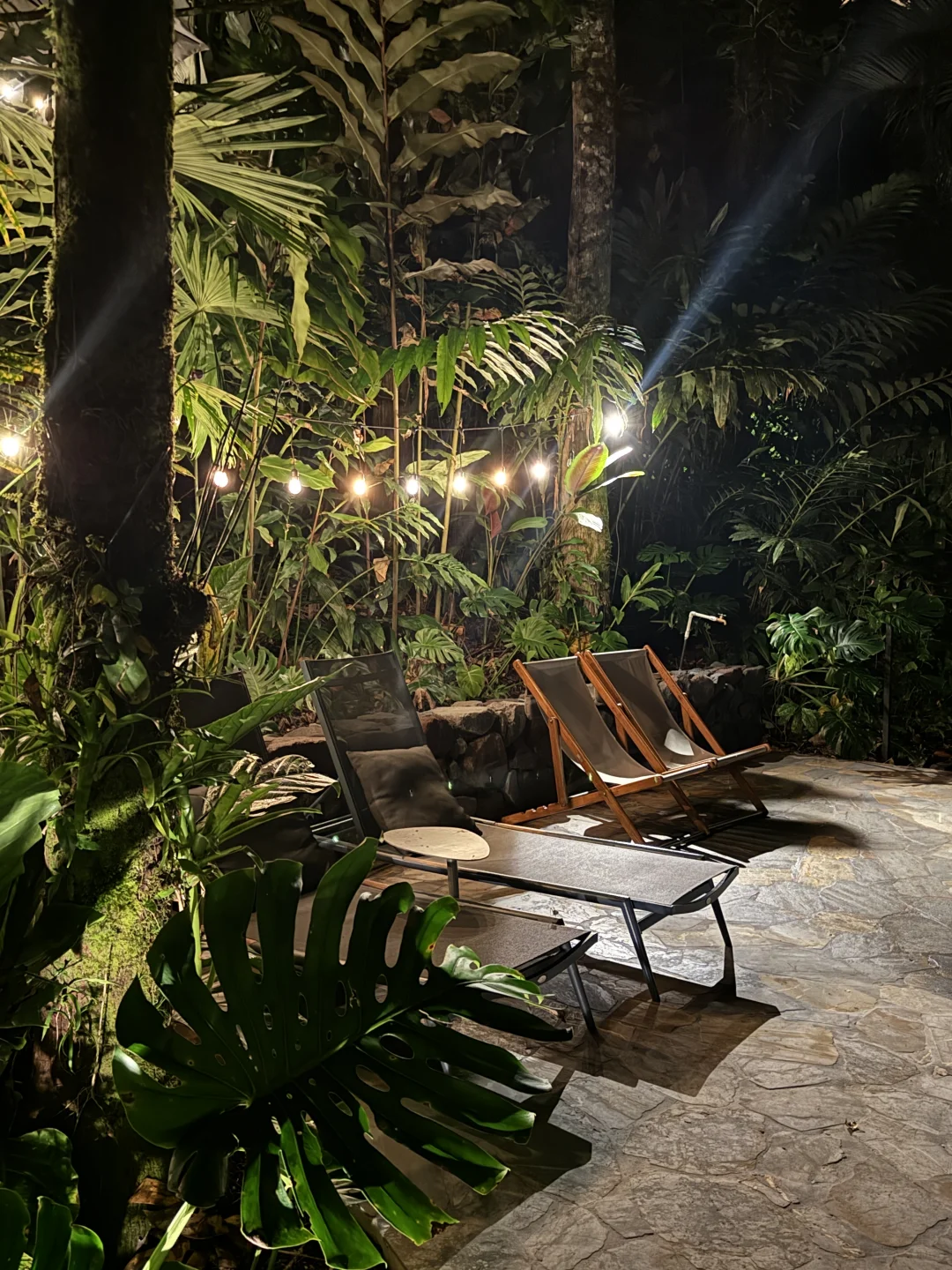 在哥斯达黎加住进了热带雨林是什么感受！